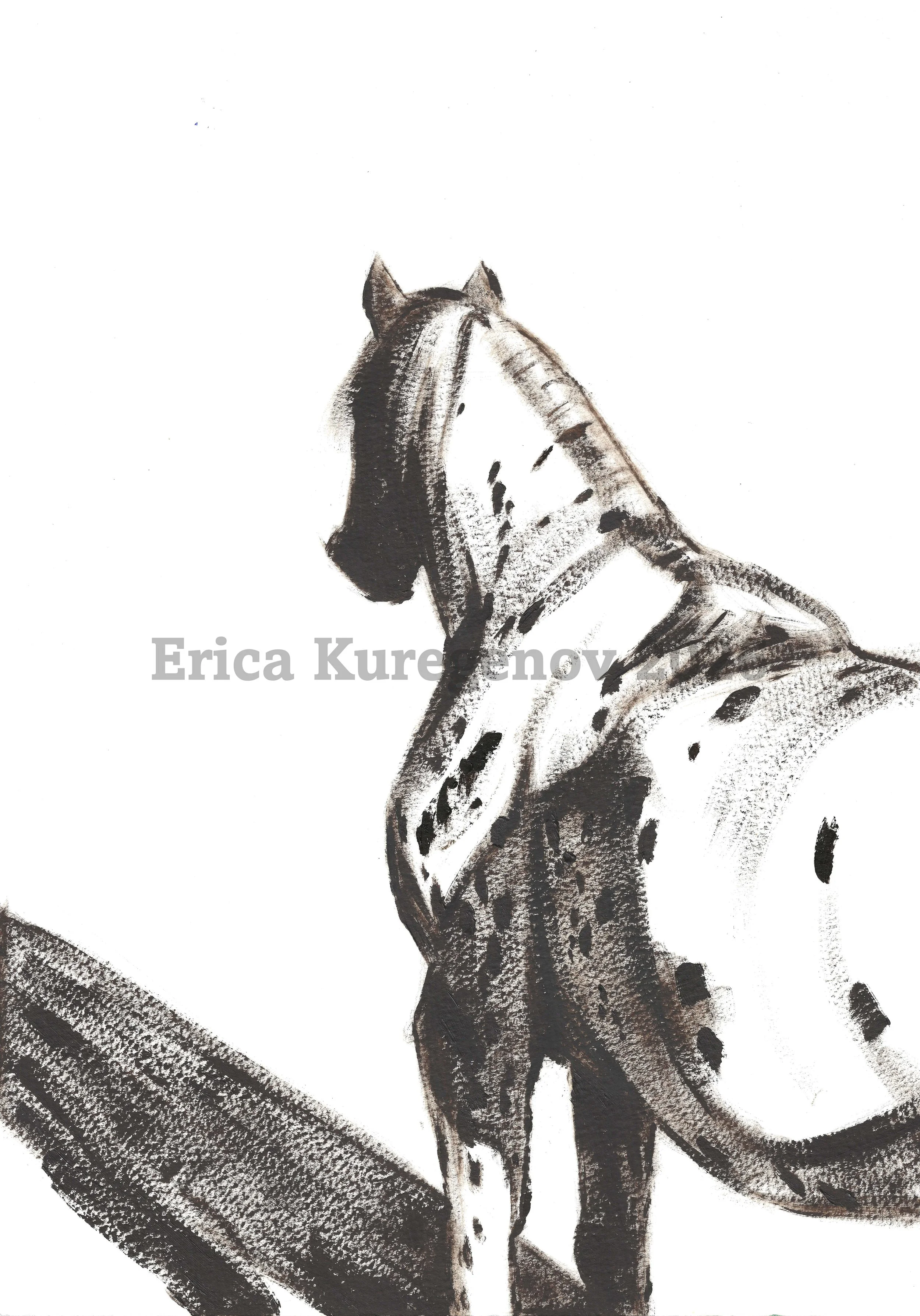Appaloosa