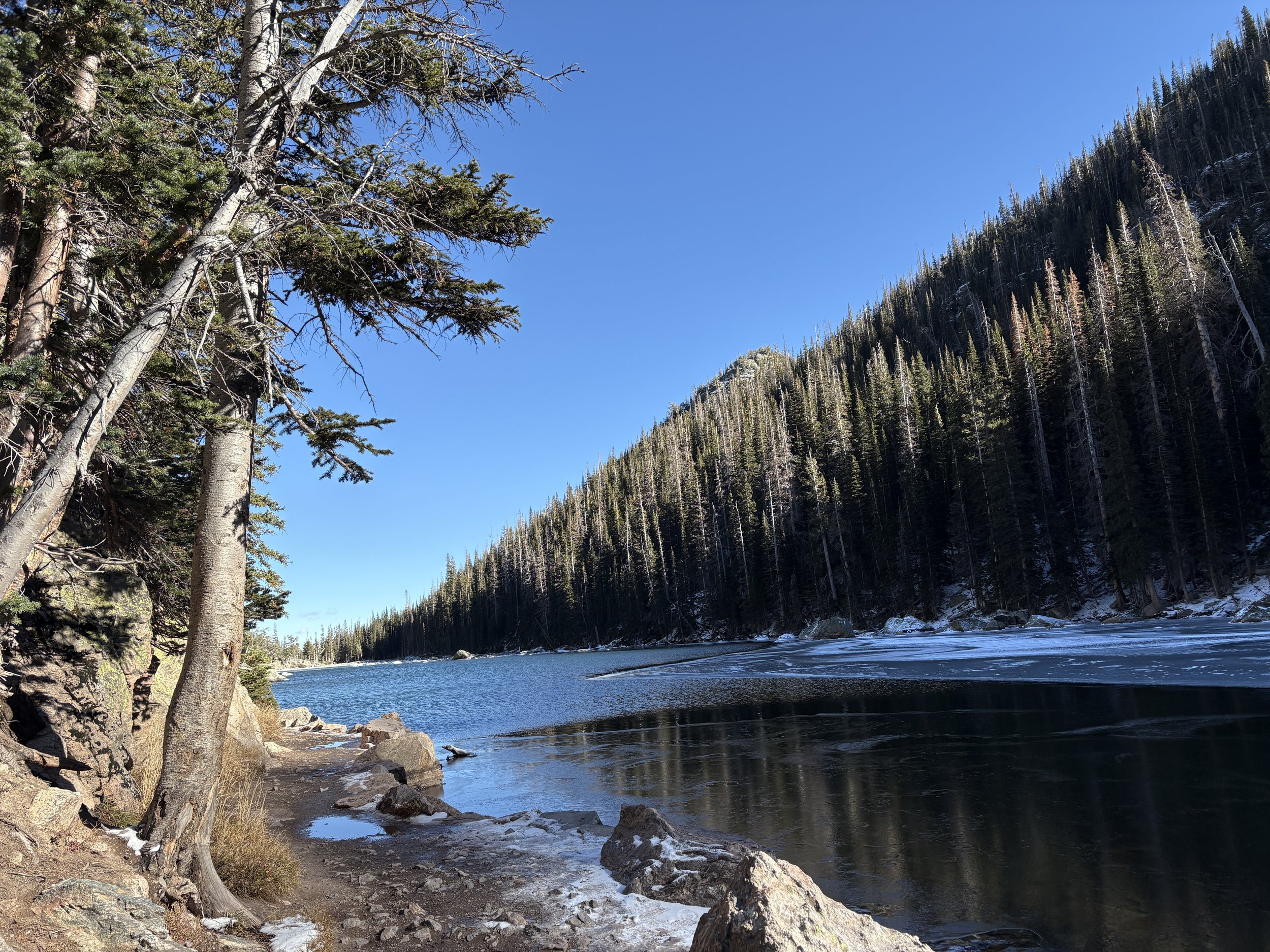 A scenic view of a forested area by a river, with trees on the left side and snow on the ground, under a clear blue sky.