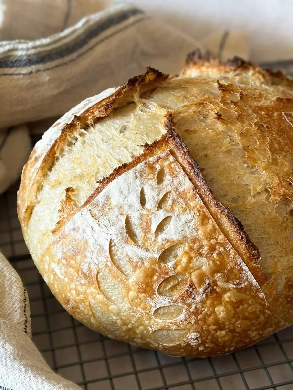 Sourdough Loaf