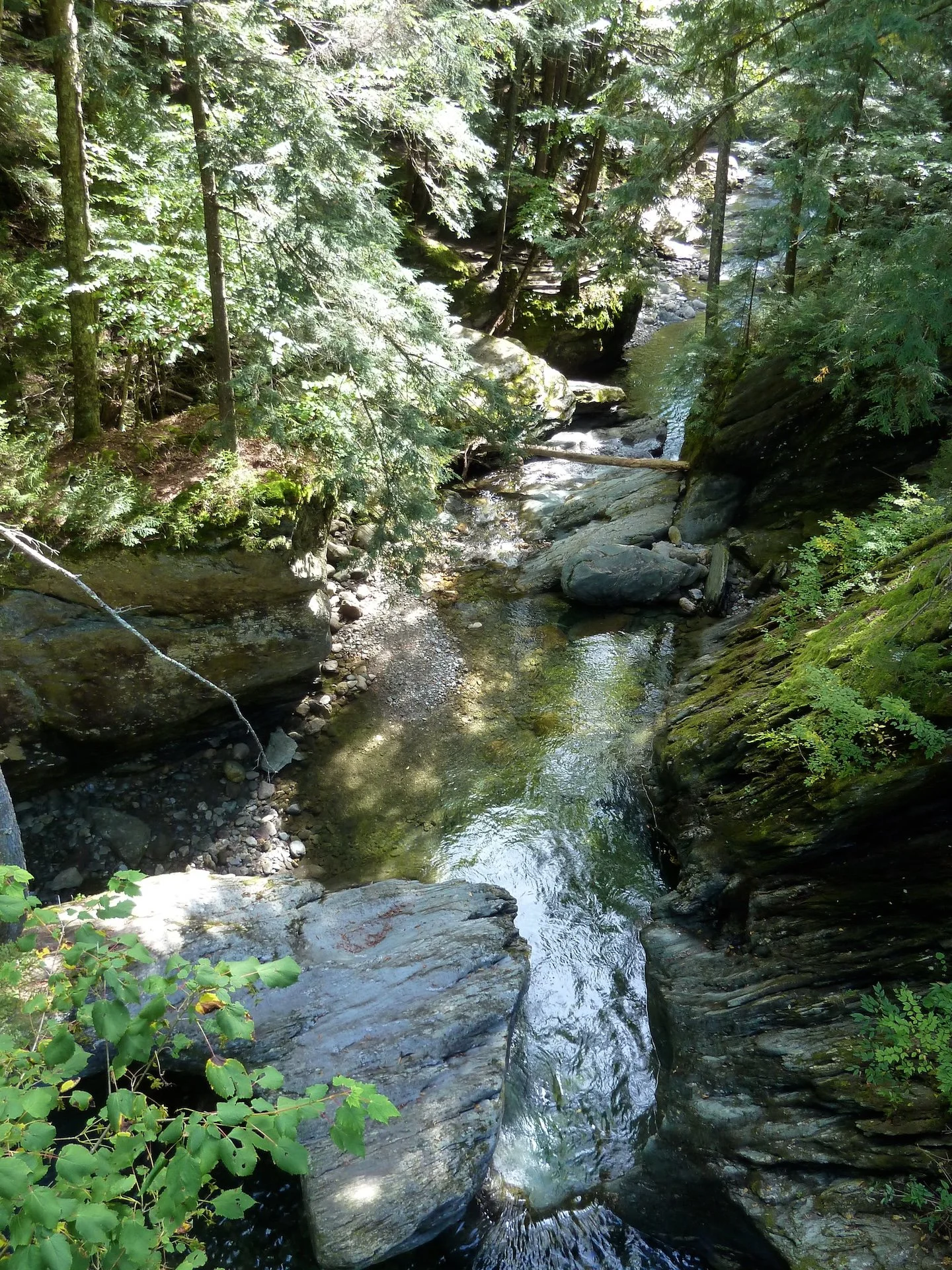 P1010450.JPG
