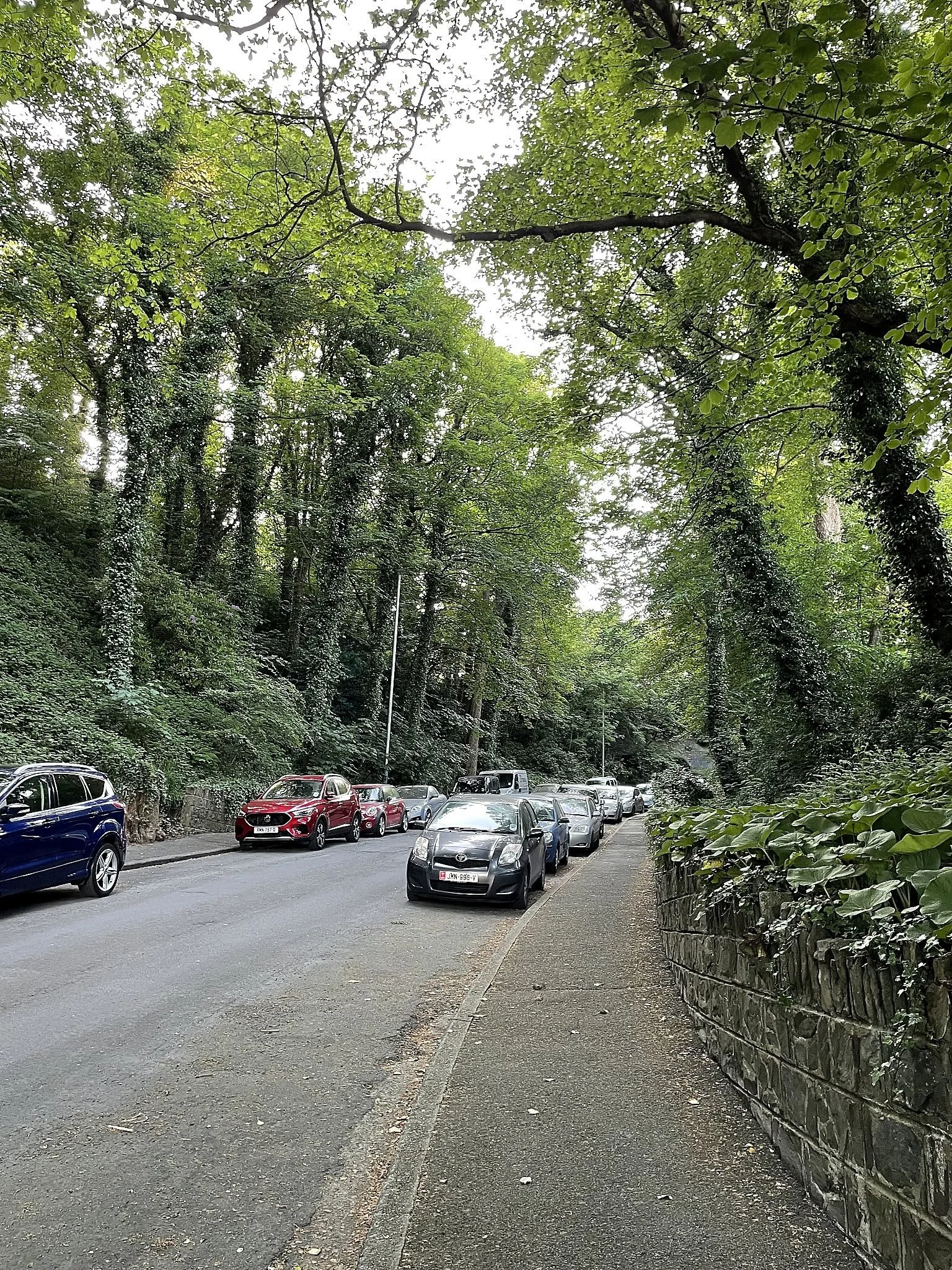 This is Mona Drive. I would take this street from the Promenade to the TT Village.