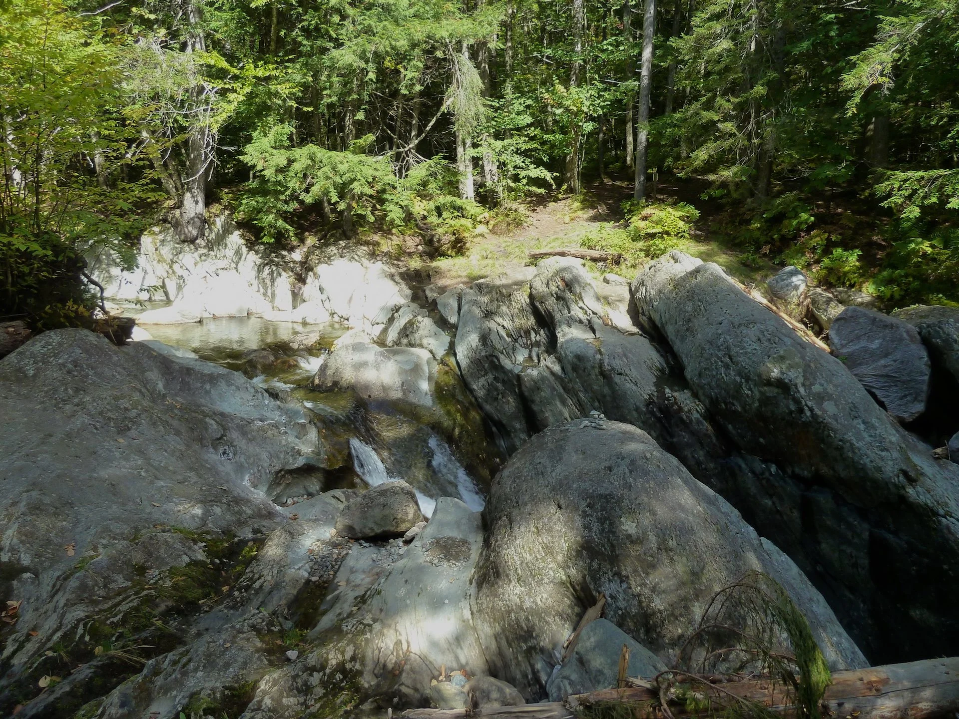 P1010448.JPG