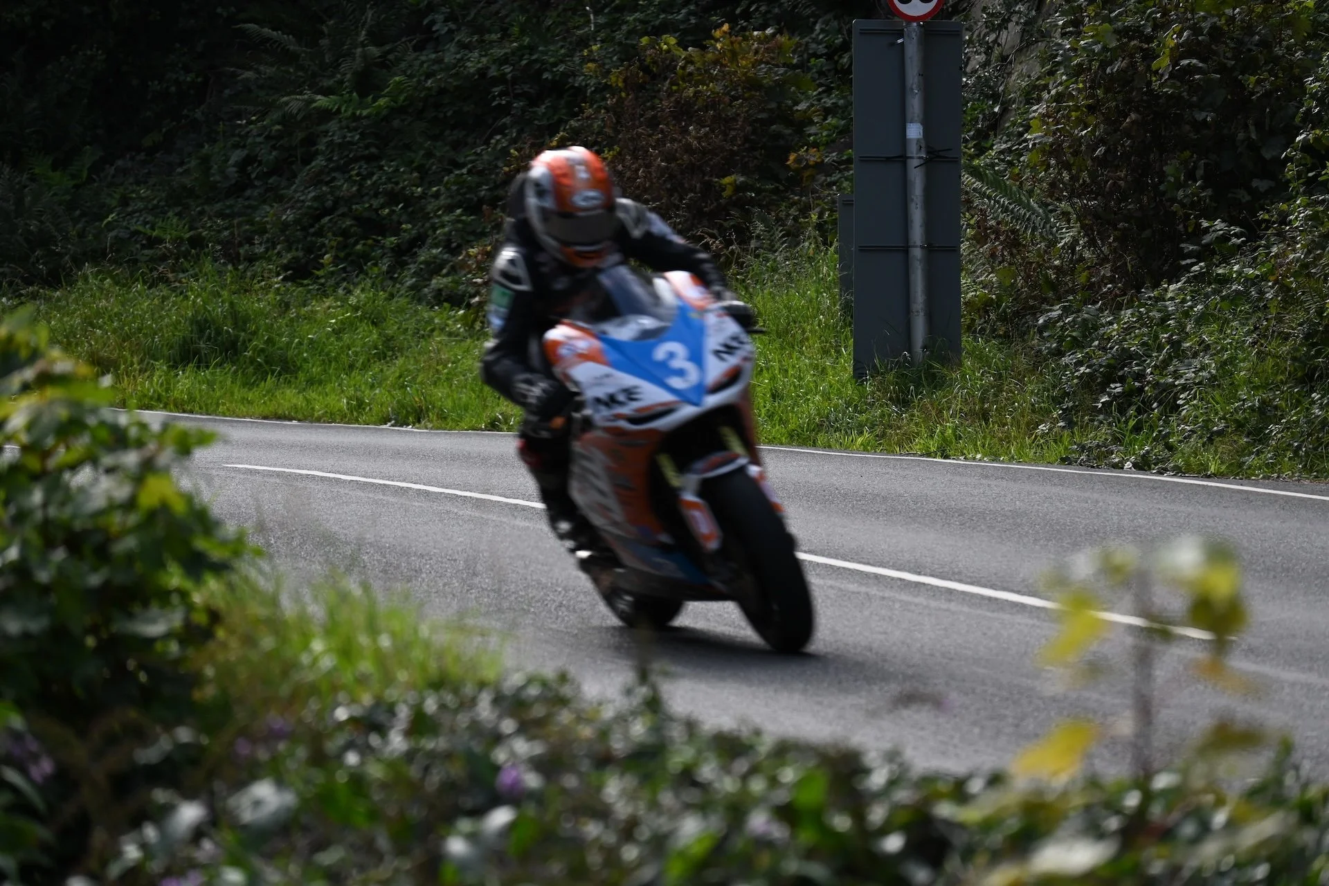 DSC_2573.JPG