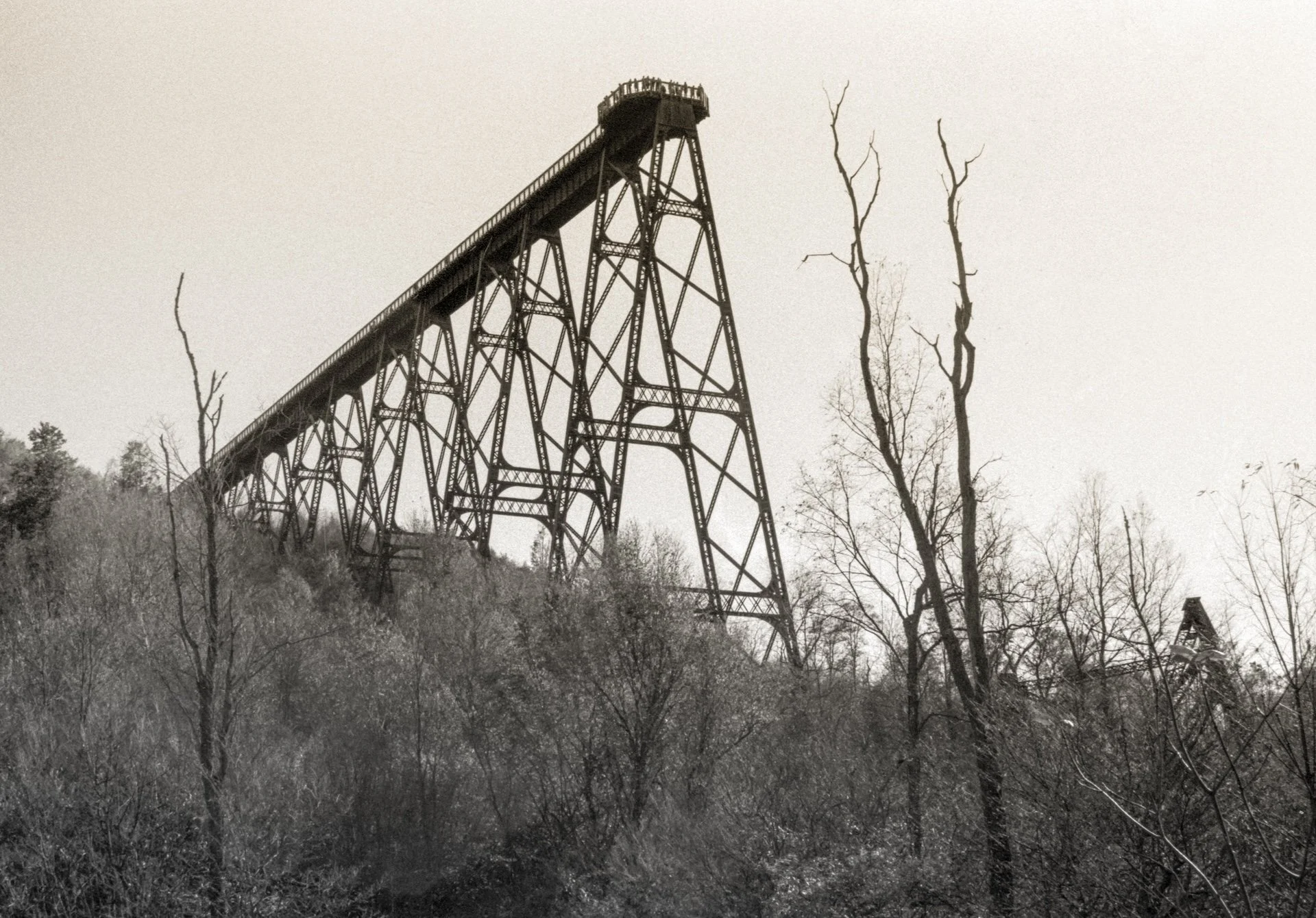 Kinzua Bridge, Kinzua Bridge State Park, PA. Shot on Medium Format film. 