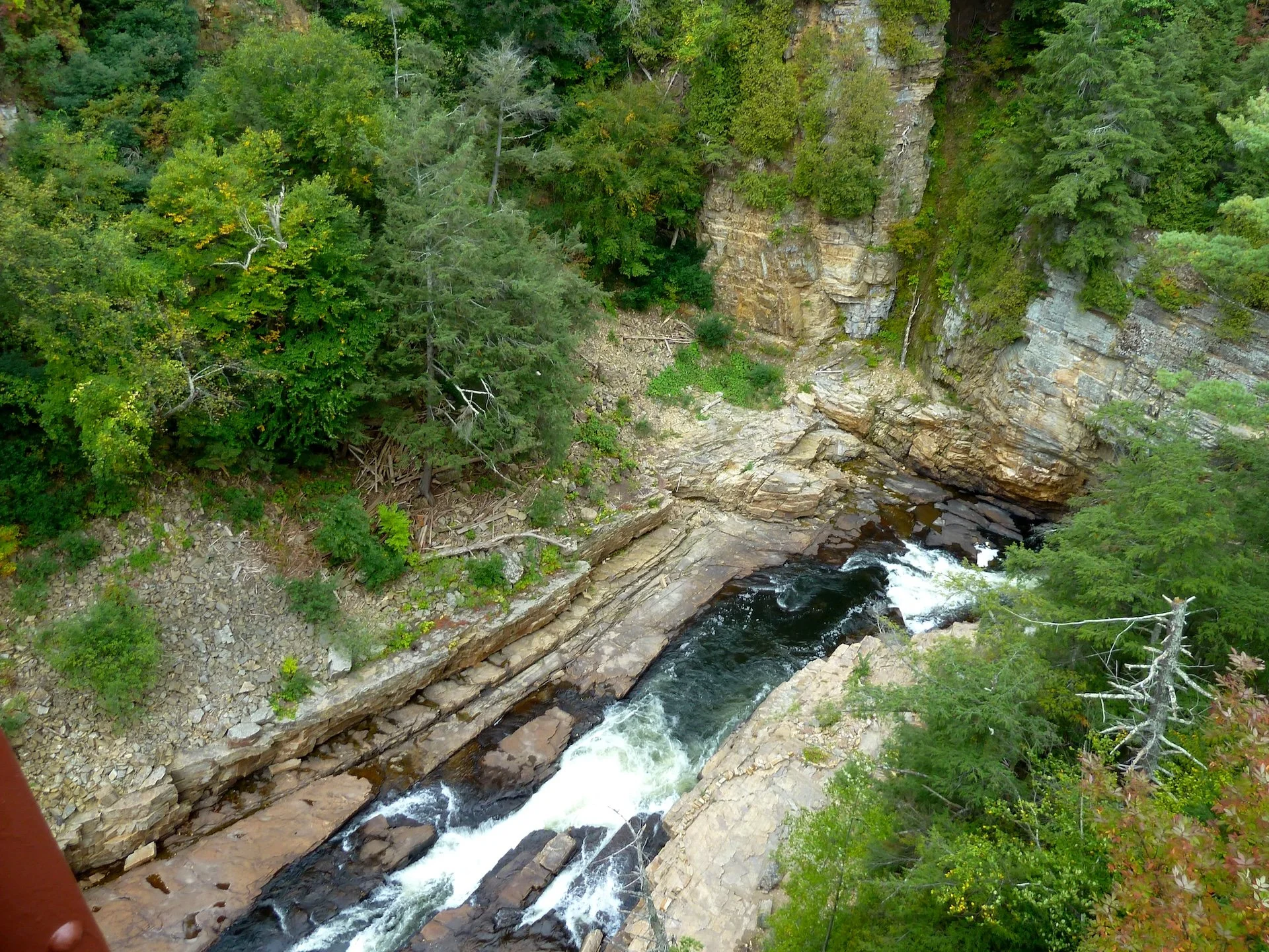 P1010459.JPG
