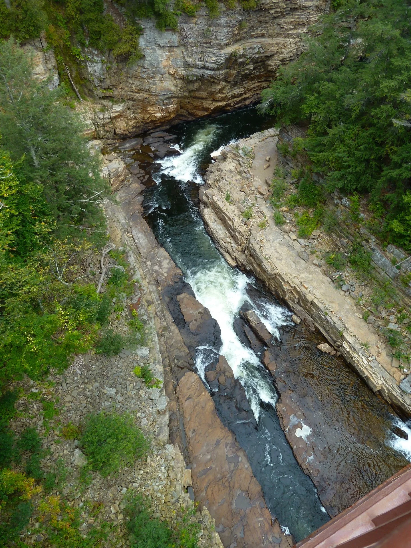 P1010458.JPG