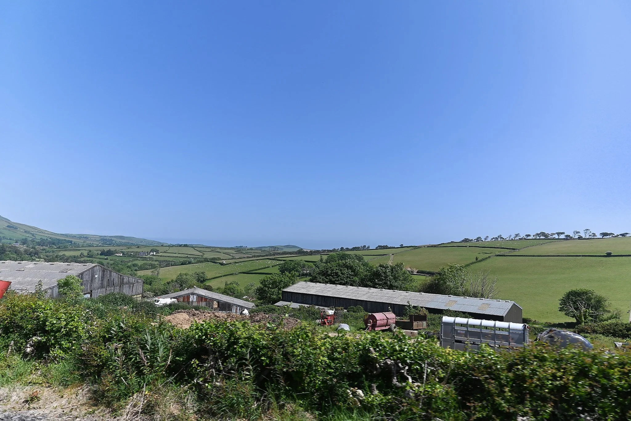 Farming, both cattle and sheep are prominent on the island.