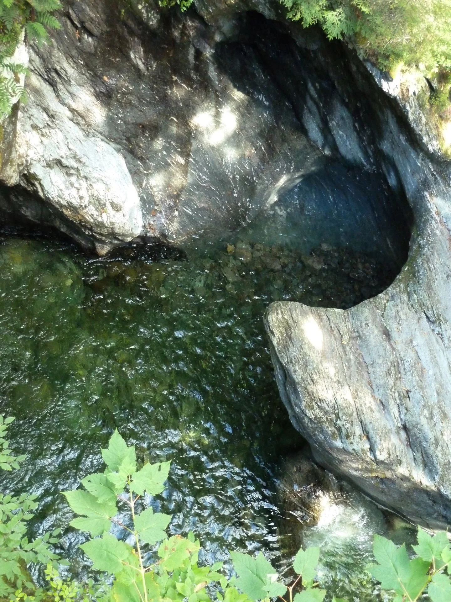 P1010451.JPG