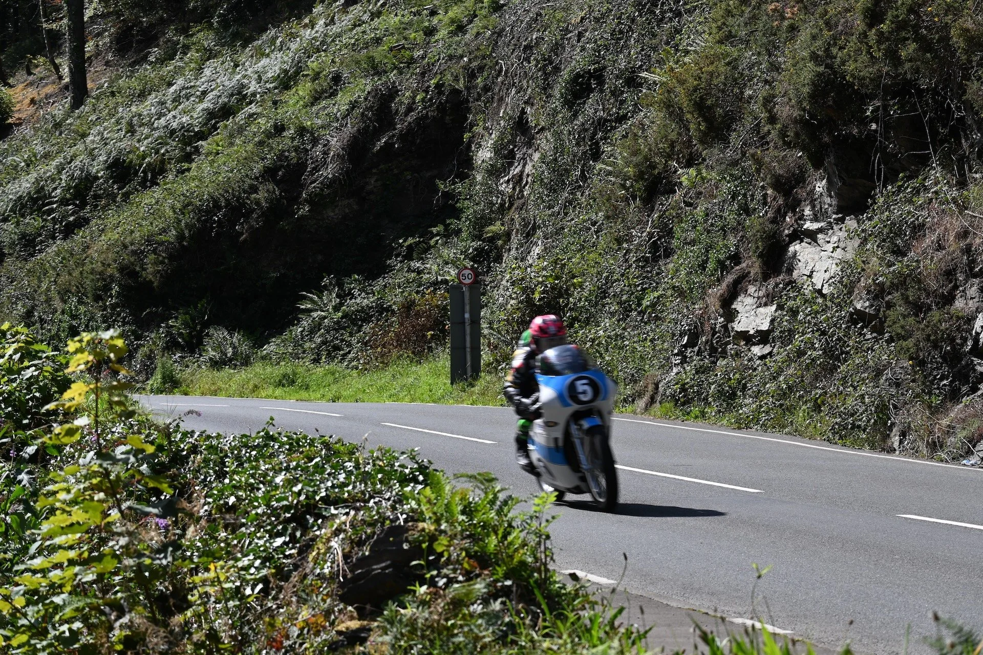 DSC_1980.JPG