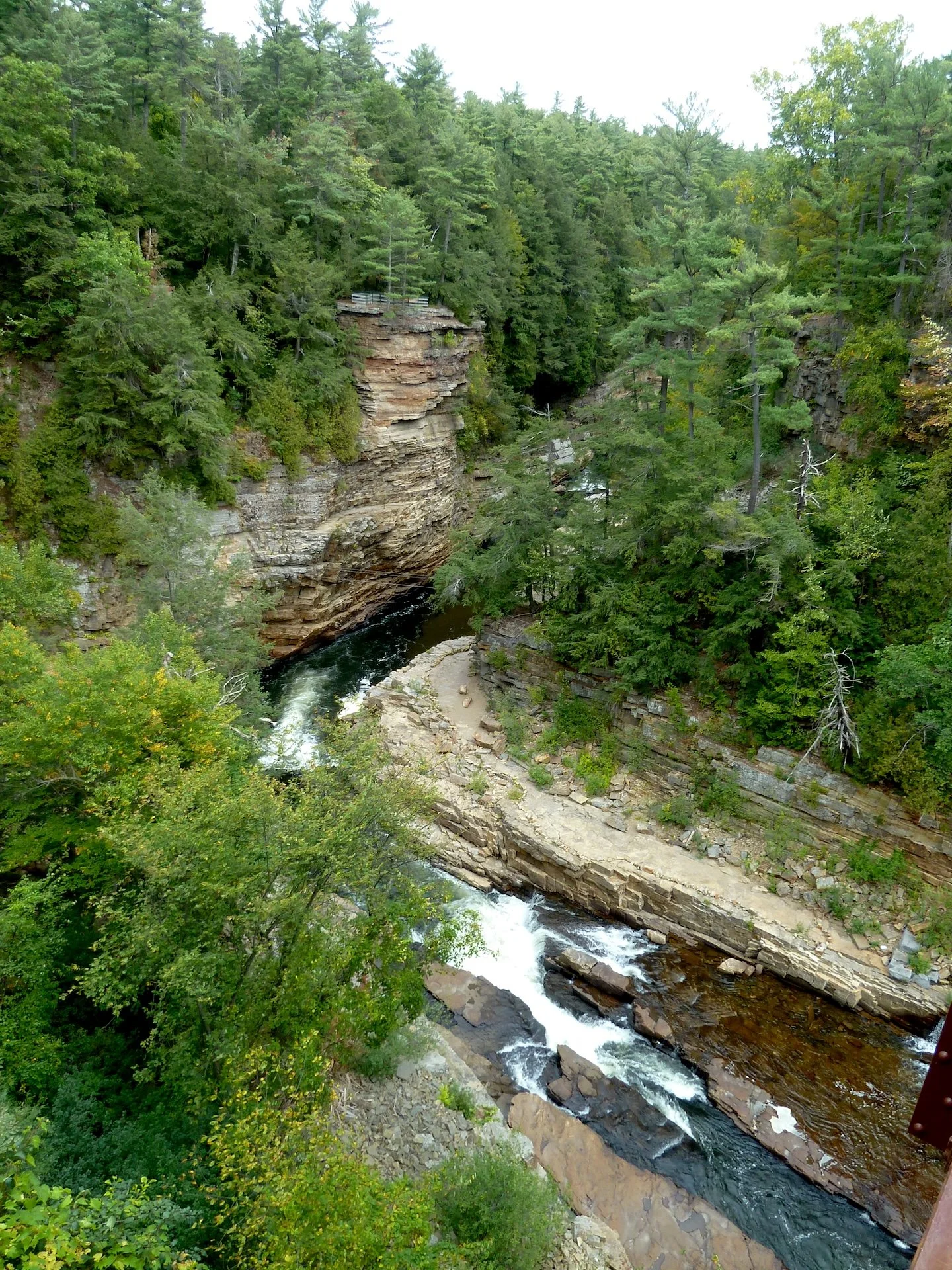 P1010457.JPG