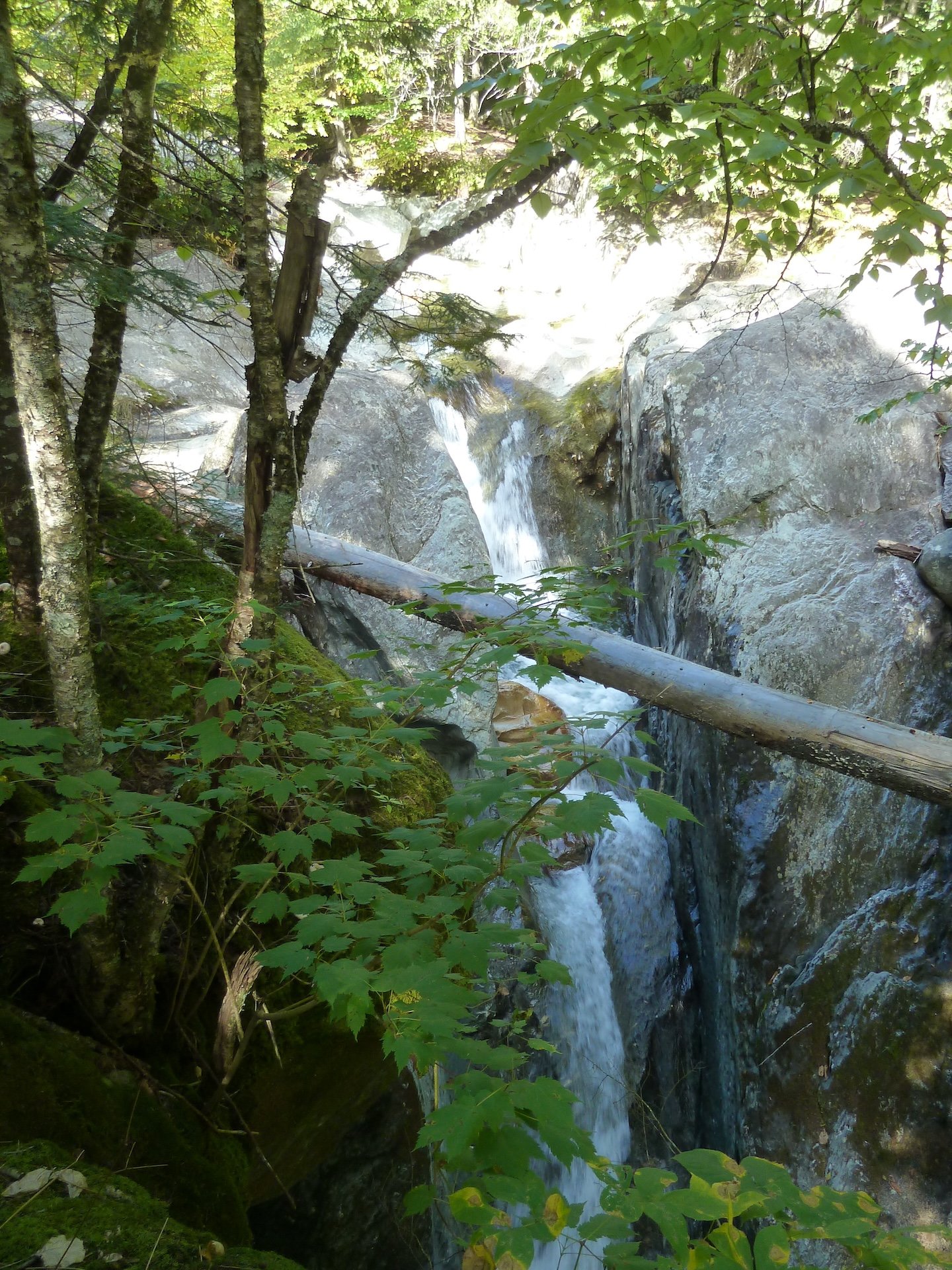 P1010447.JPG