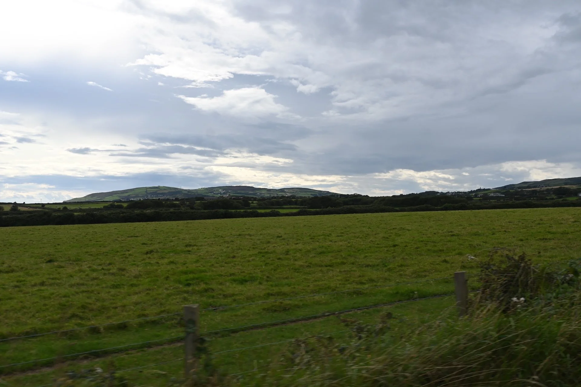 It's not uncommon to see Rabbit and , Pheasant in some of the fields as you pass by. 