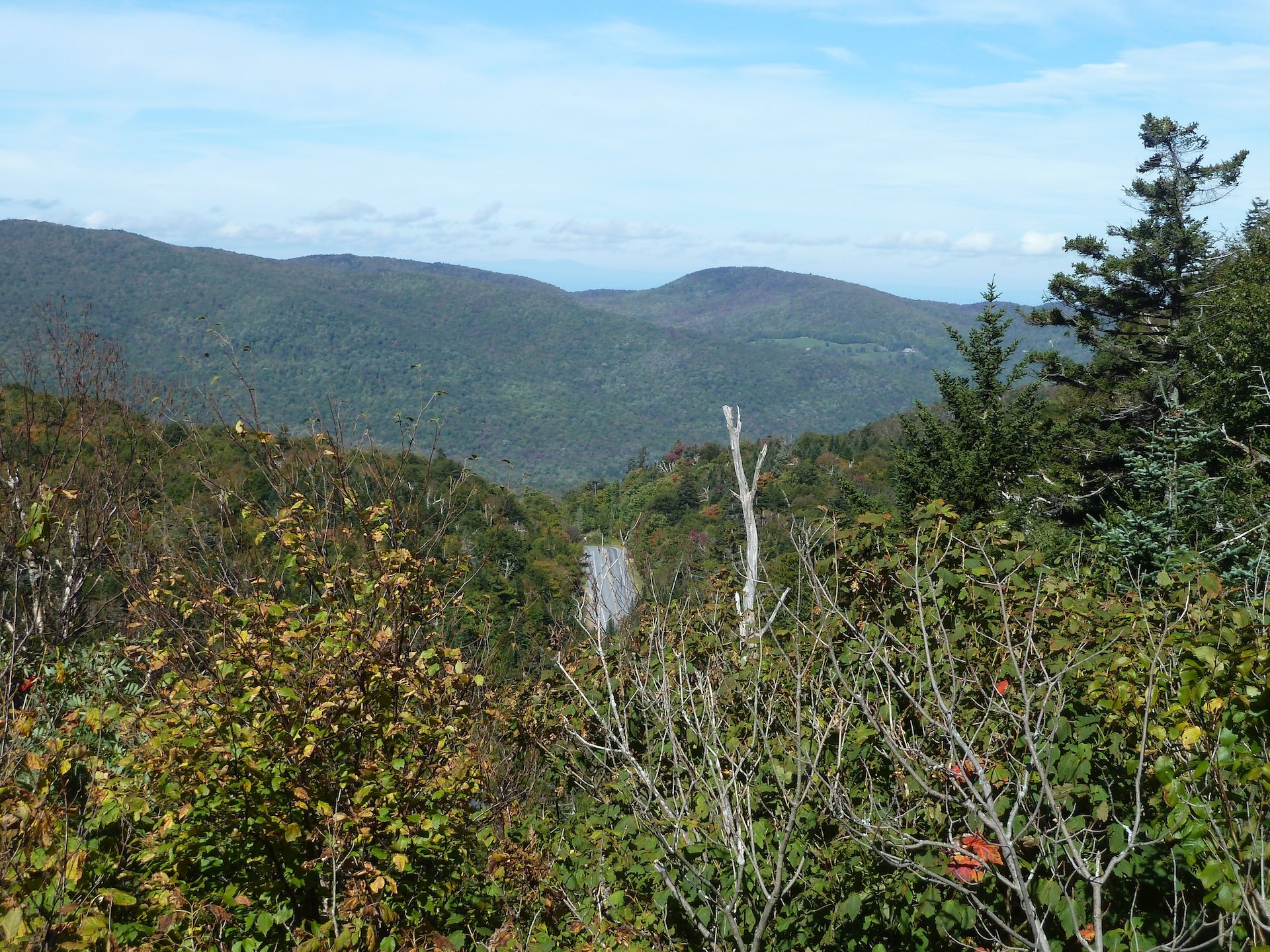 P1010442.JPG