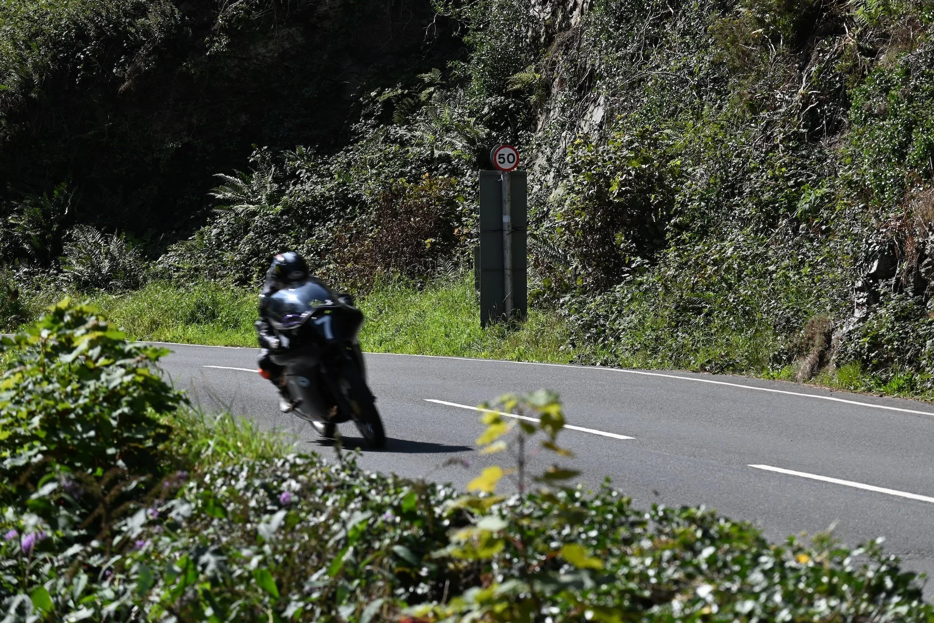 DSC_1962.JPG