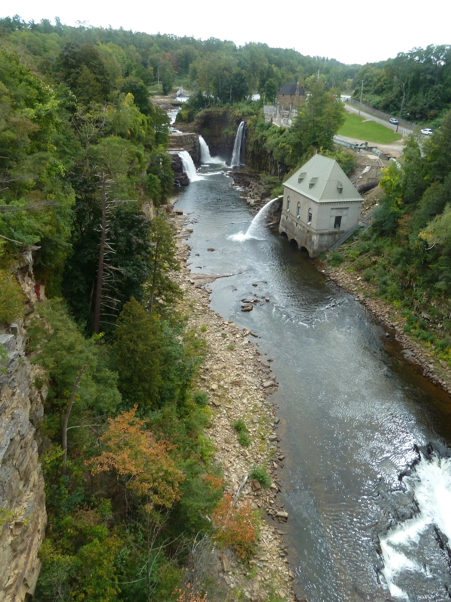P1010454.JPG