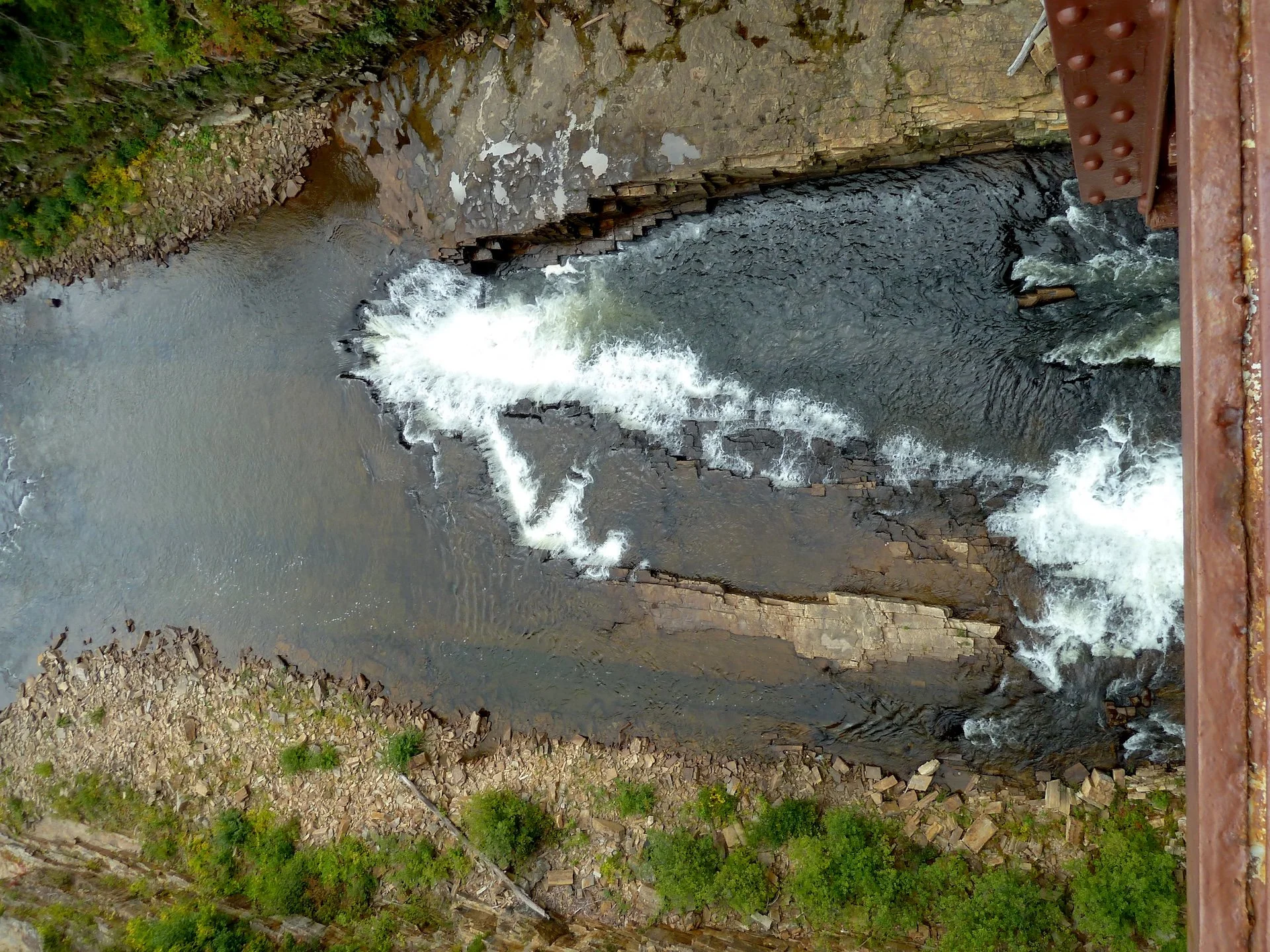 P1010456.JPG
