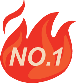 A flame graphic with the text "NO.1" inside it, indicating a top ranking or position.