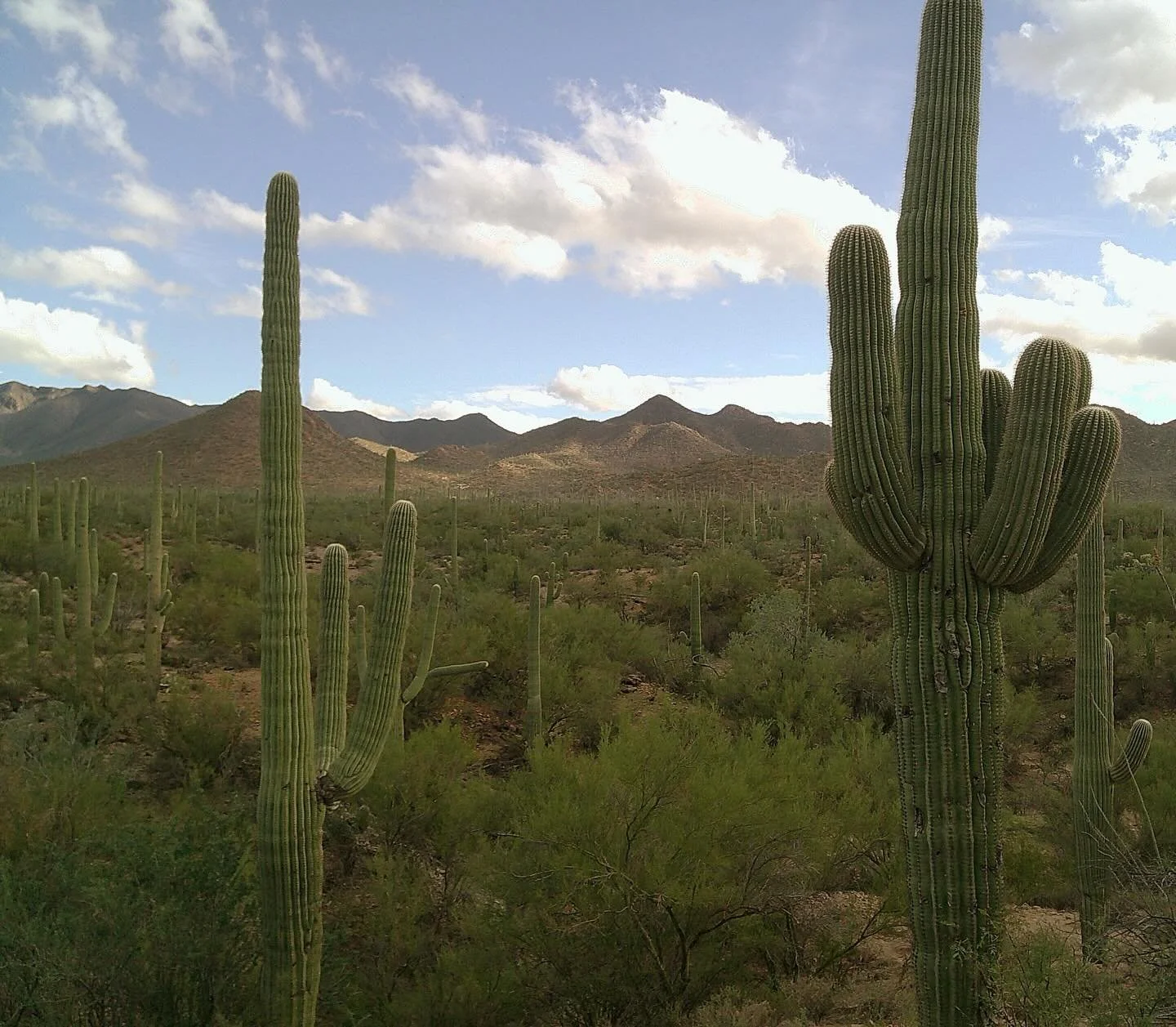 A very full day in Tucson!