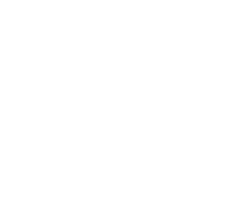 Singa Advisors 