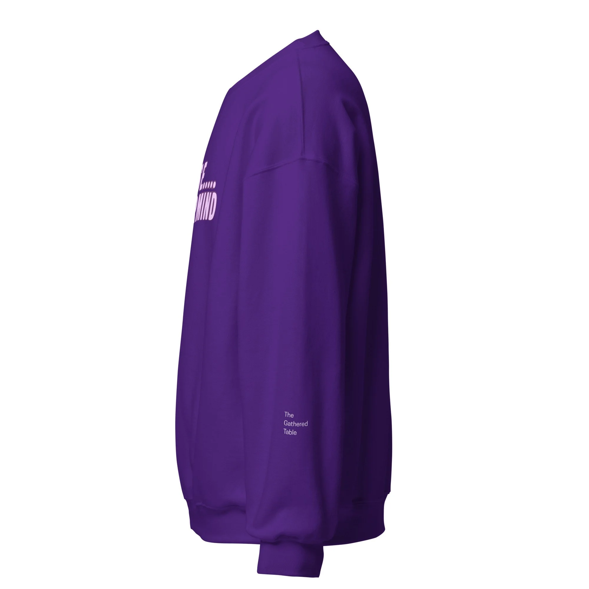 unisex-crew-neck-sweatshirt-purple-left-6acfa37a4ab57.jpg
