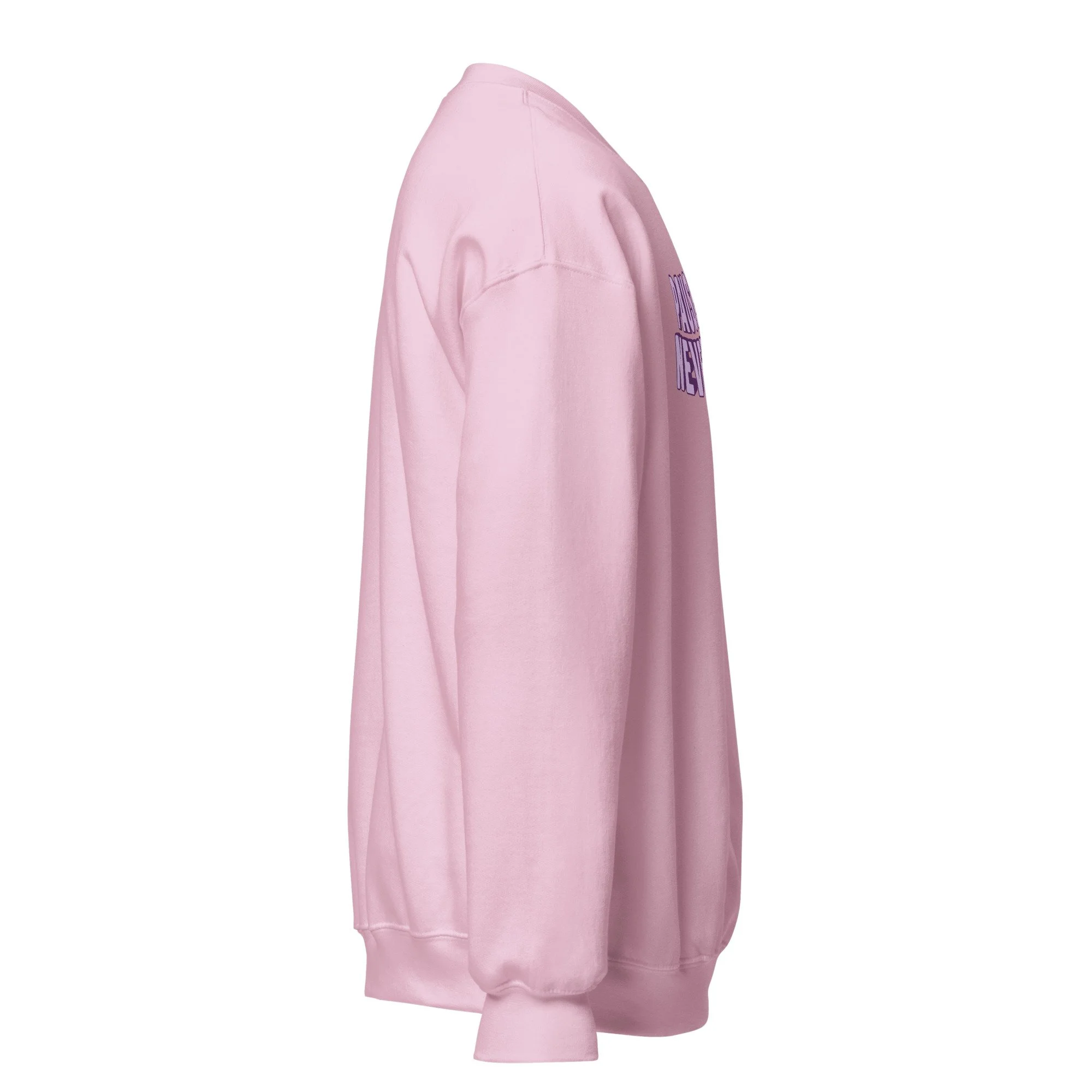 unisex-crew-neck-sweatshirt-light-pink-right-6acfa37a4b6cc.jpg