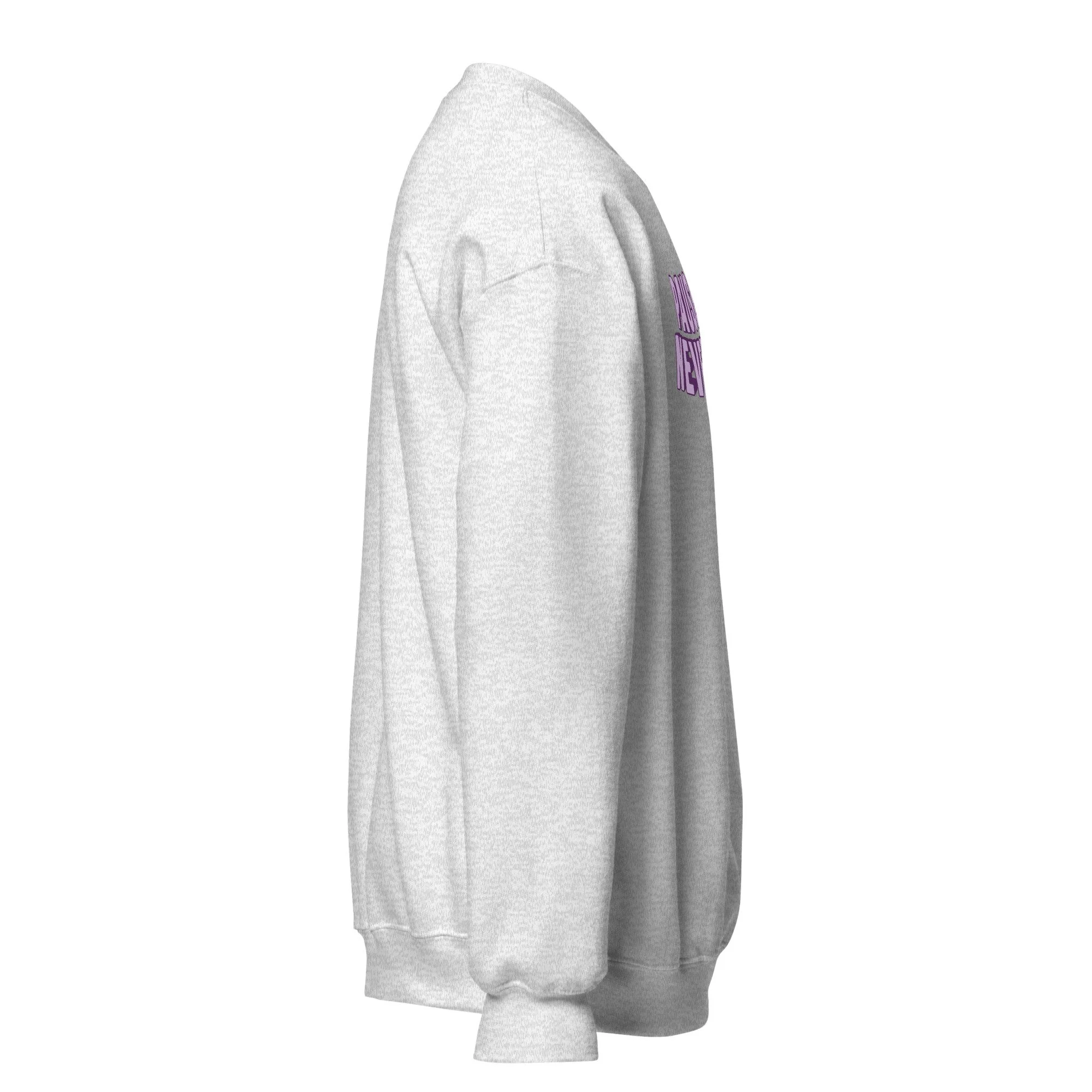 unisex-crew-neck-sweatshirt-ash-right-6acfa37a4b574.jpg