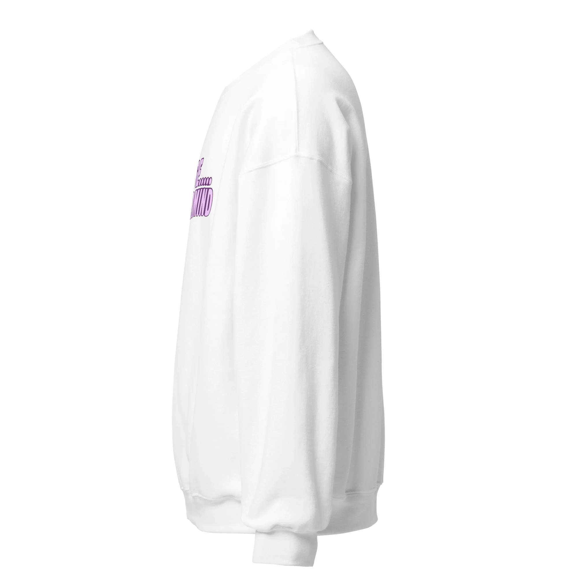 unisex-crew-neck-sweatshirt-white-left-6acfa37a4aaec.jpg