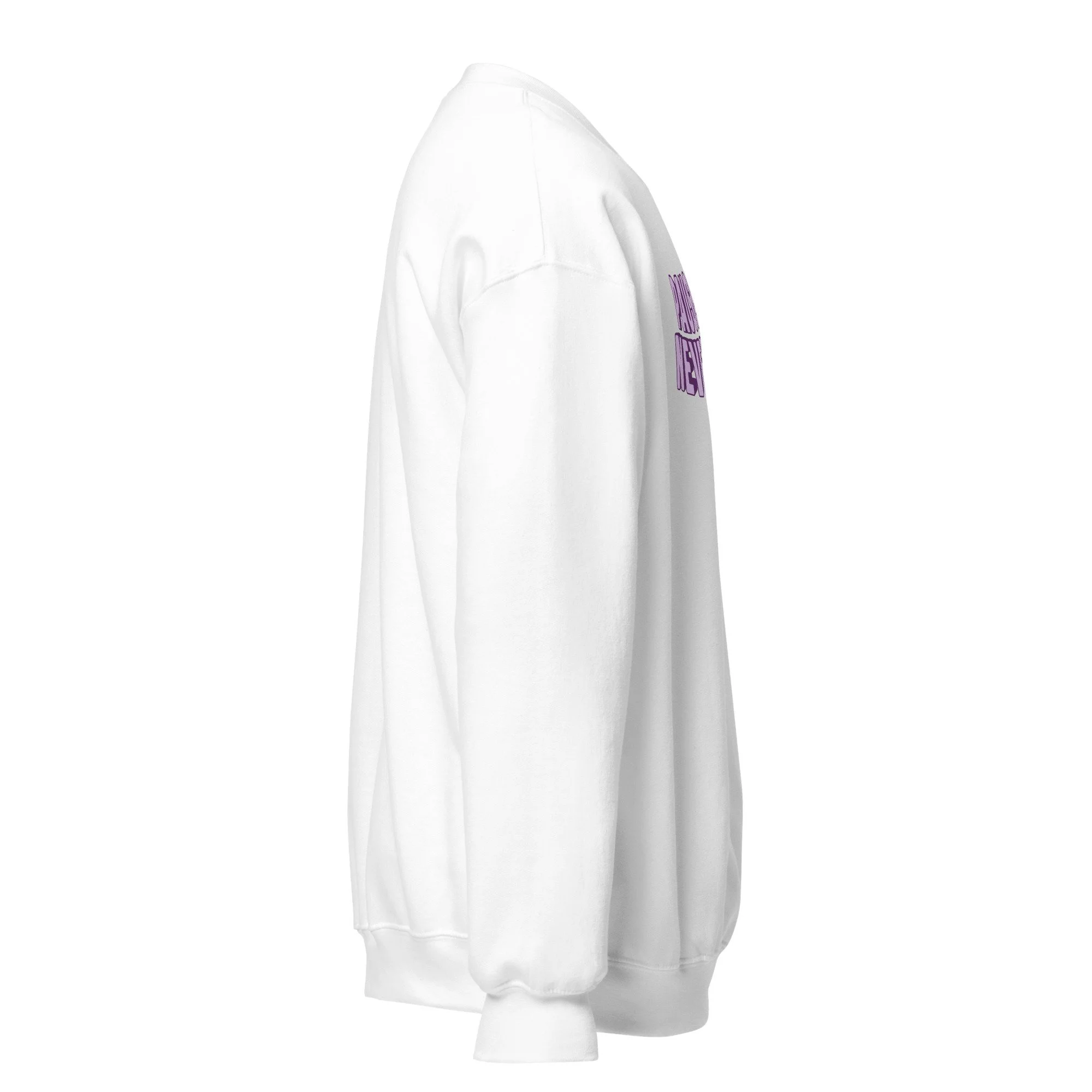 unisex-crew-neck-sweatshirt-white-right-6acfa37a4b794.jpg