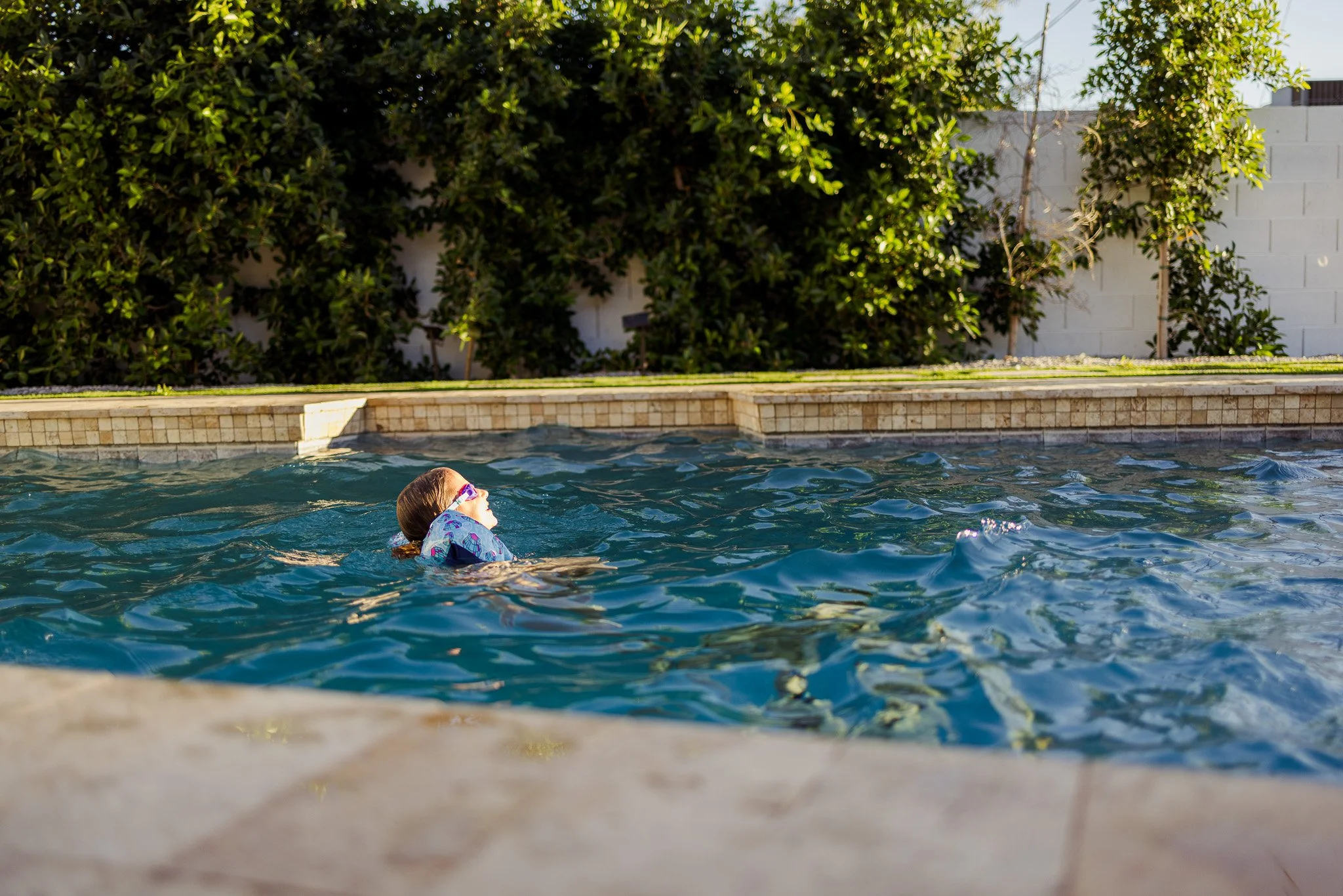 A person swimming in a backyard pool with a stone border, surrounded by a green hedge and a white wall.