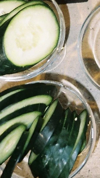 Sliced cucumbers in a bowl, with additional sliced cucumbers visible in the background.