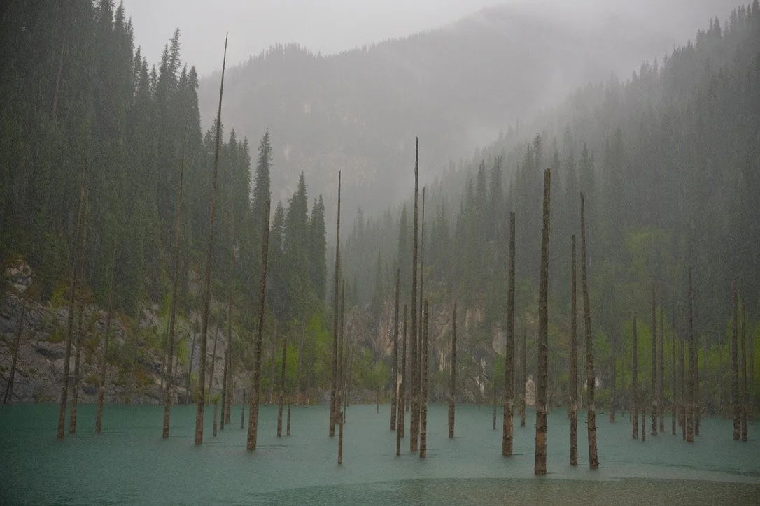 Submerged tree trunks rising from the turquoise waters of Kaindy Lake in heavy rain, Tian Shan mountains, Kazakhstan