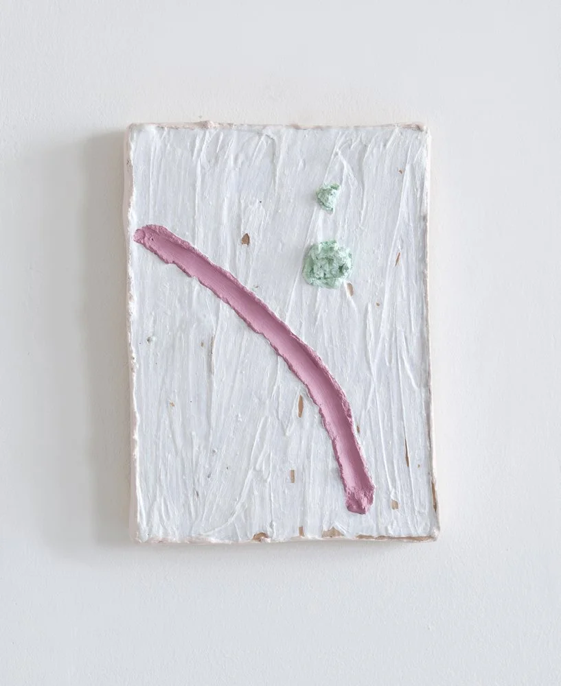 'Fainting Violet'
8.5 x 11 x 2 in Acrylic, foam, and plaster. 2013