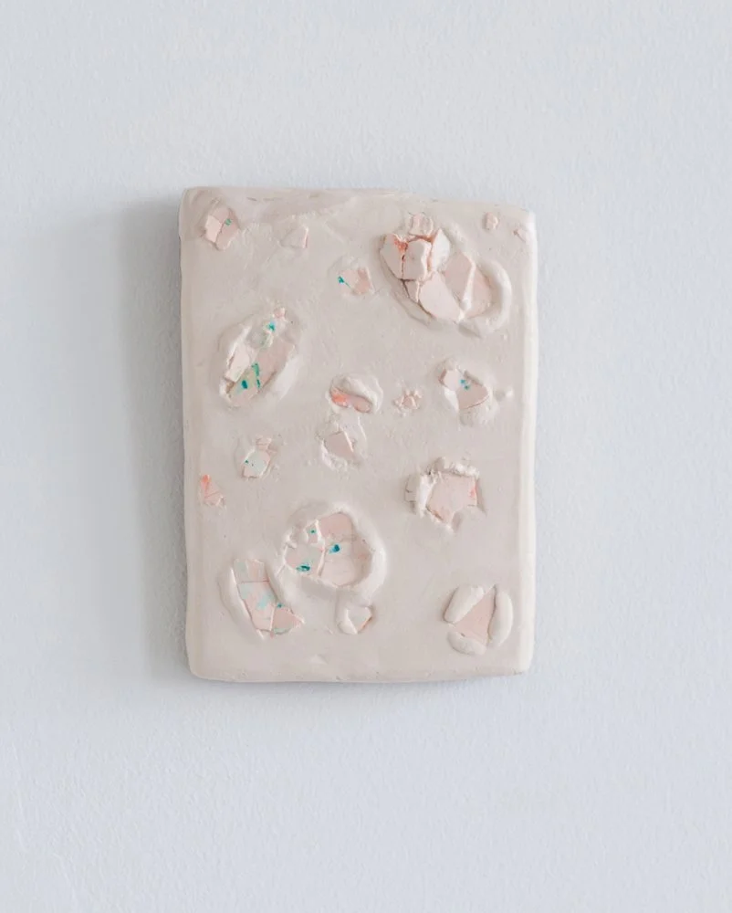 'Blush'
5 x 7 x 1in Plaster, acrylic, and foam. 2013
