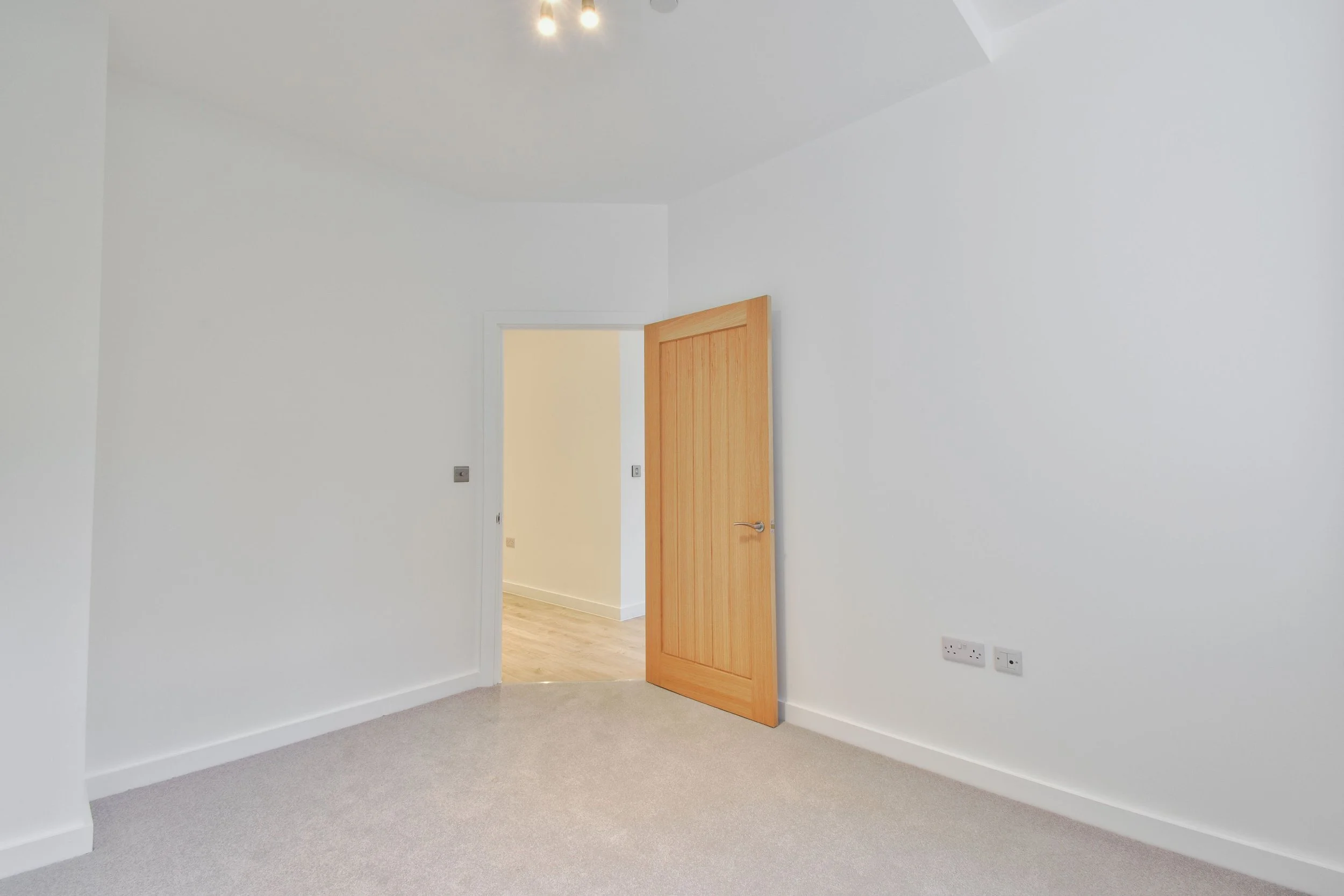 Empty white room with gray carpet flooring, a wooden door slightly open, and a ceiling light with two bulbs.