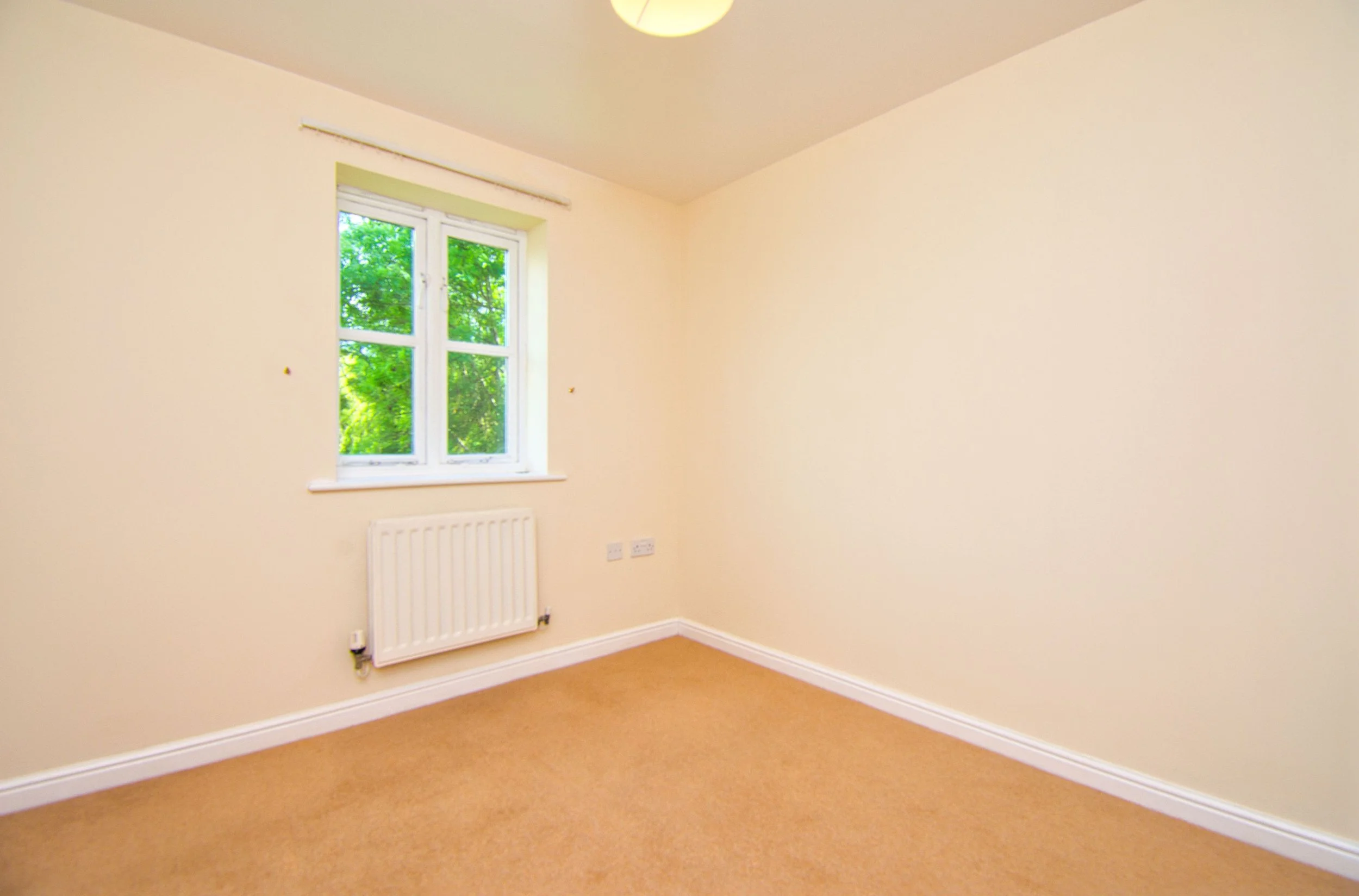 Empty room with beige walls, carpet floor, a white radiator, a window with greenery outside, and a ceiling light.