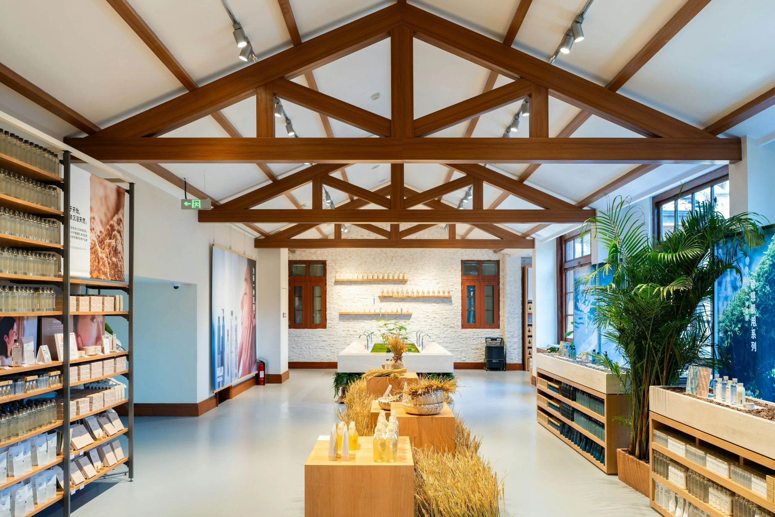 Interior of a modern store with wooden beams on a white ceiling, shelves with skincare or cosmetic products, large windows letting in natural light, and green plants