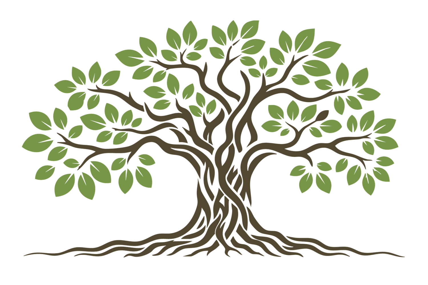 Canopy Climate Systems