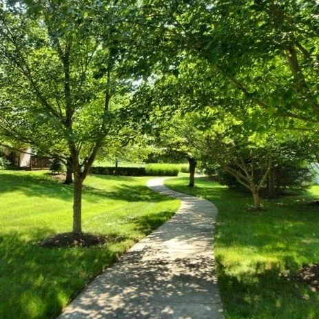  Take in the beauty of nature along our walking trails, ideal for a leisurely walk or a fun adventure with your dog! 