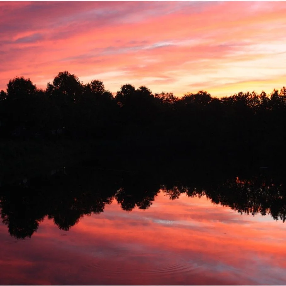  Ending the day with a stunning view over the pond. 