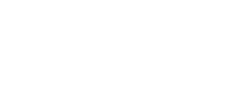 Fox2 (Copy) (Copy)