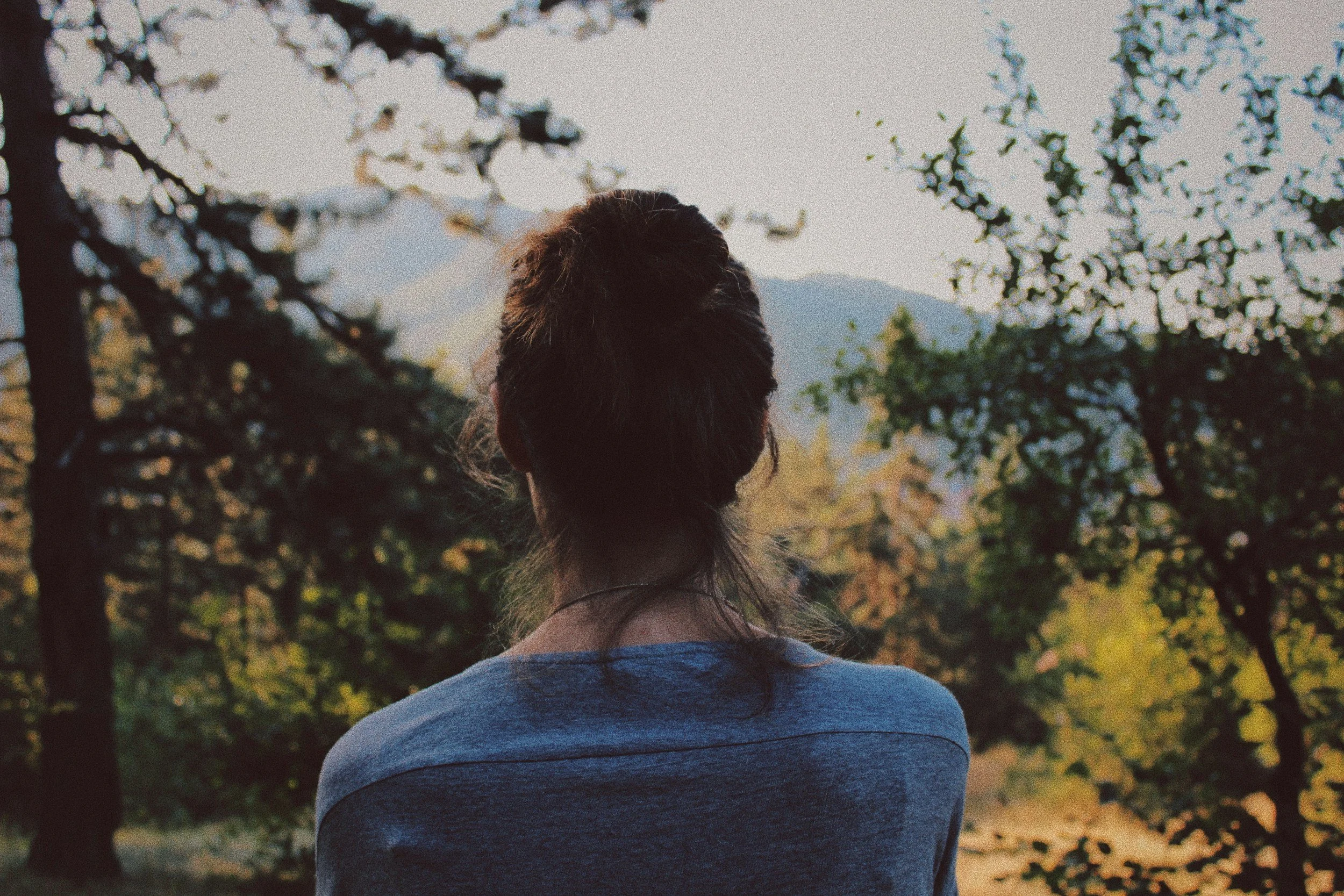 A person with dark hair tied in a bun, seen from behind, standing outdoors amidst trees with a mountain in the background.