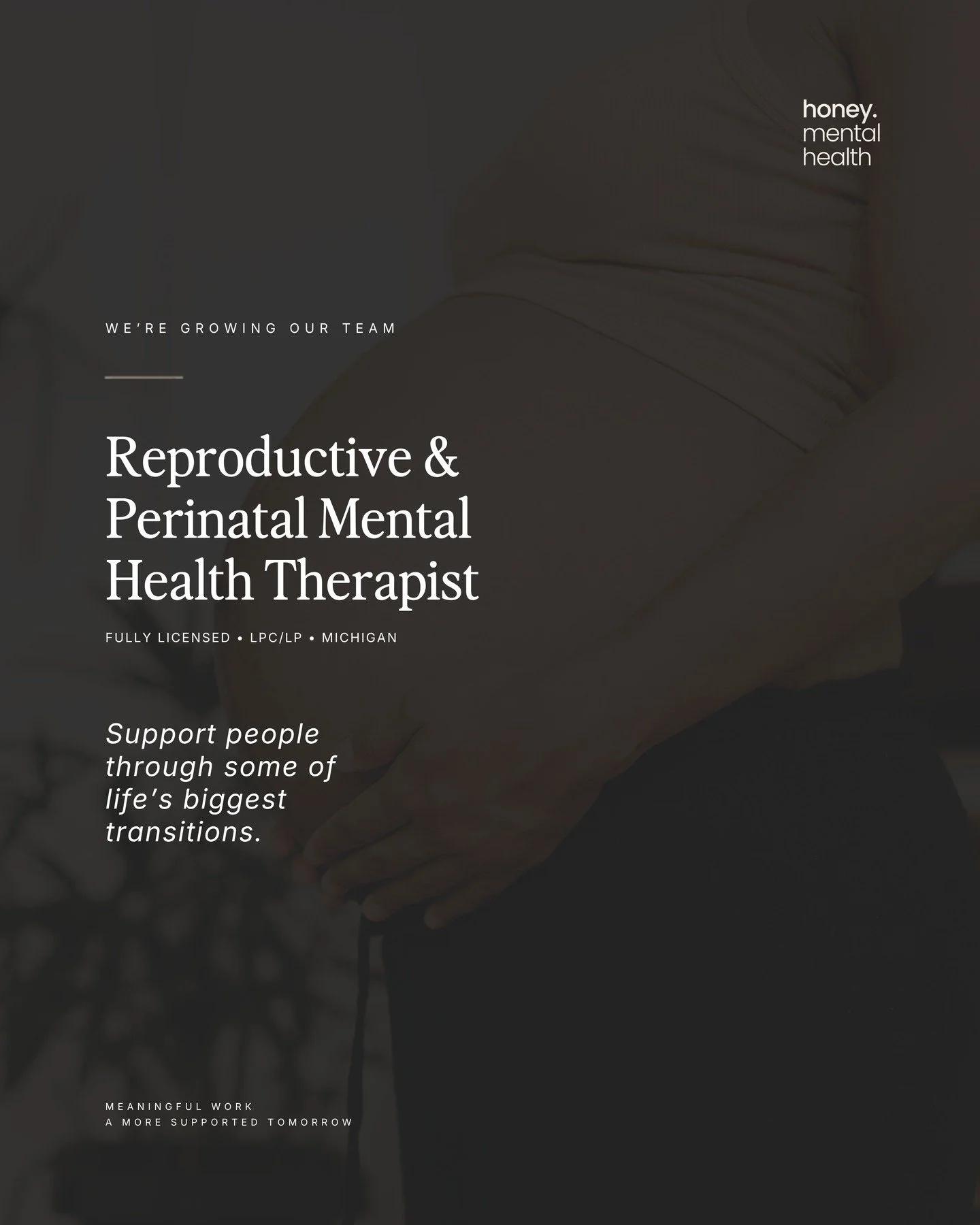 We&rsquo;re growing our team.

Honey Mental Health is looking for a fully licensed Reproductive &amp; Perinatal Mental Health Therapist to join our team in Michigan.

This role is centered around supporting people through reproductive and perinatal e