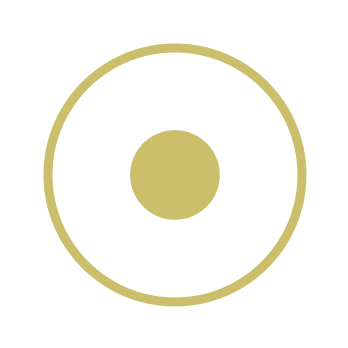 Simplified diagram of a circle with a smaller filled circle inside.