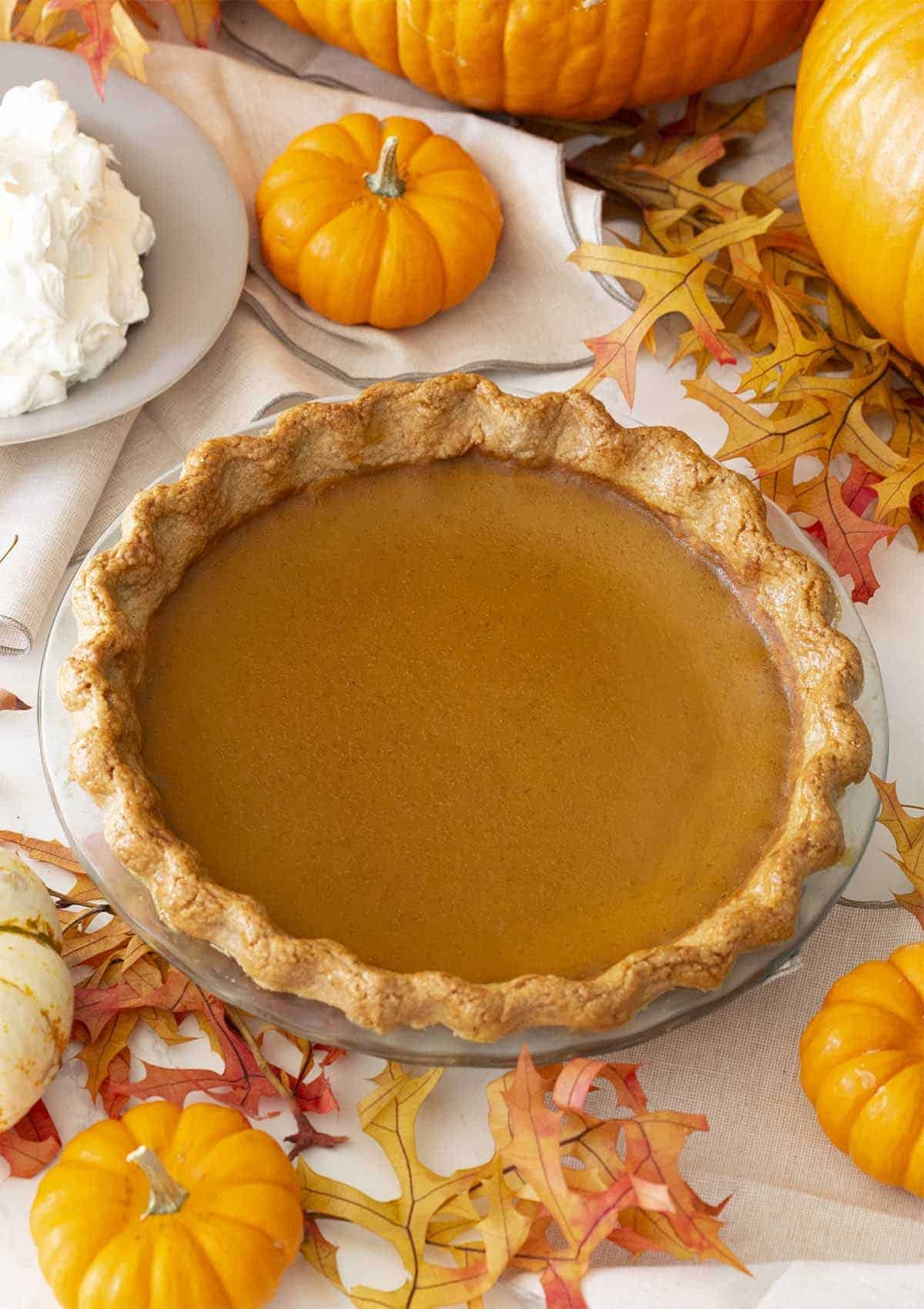 Pumpkin Pie Whole