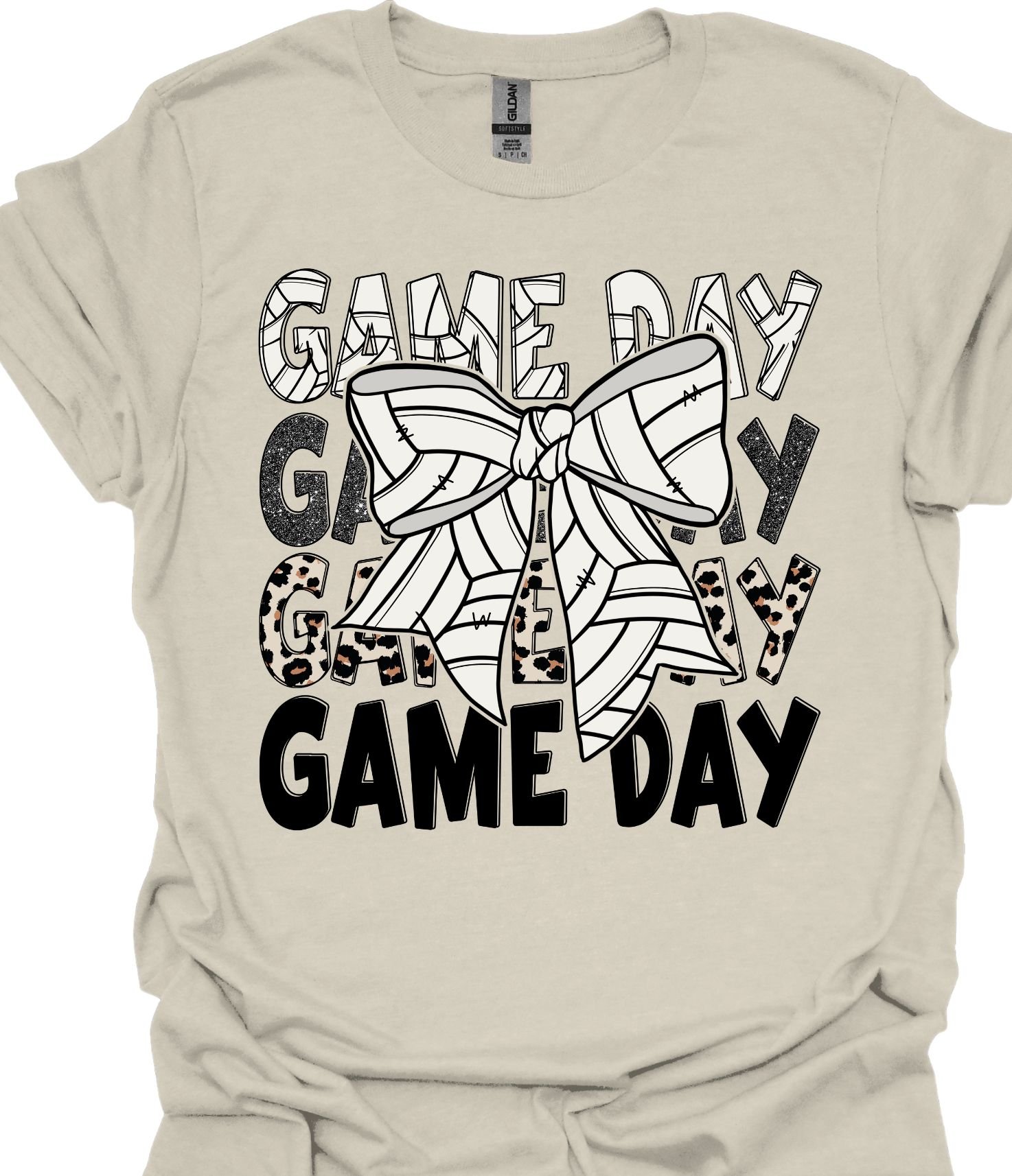 gameday volleyball.jpg
