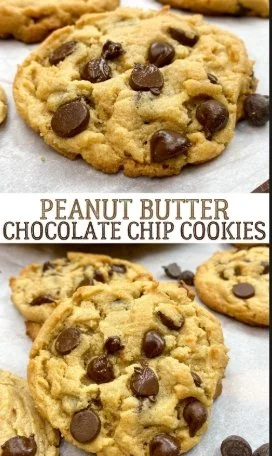 peanut butter chocolate chip.jpeg