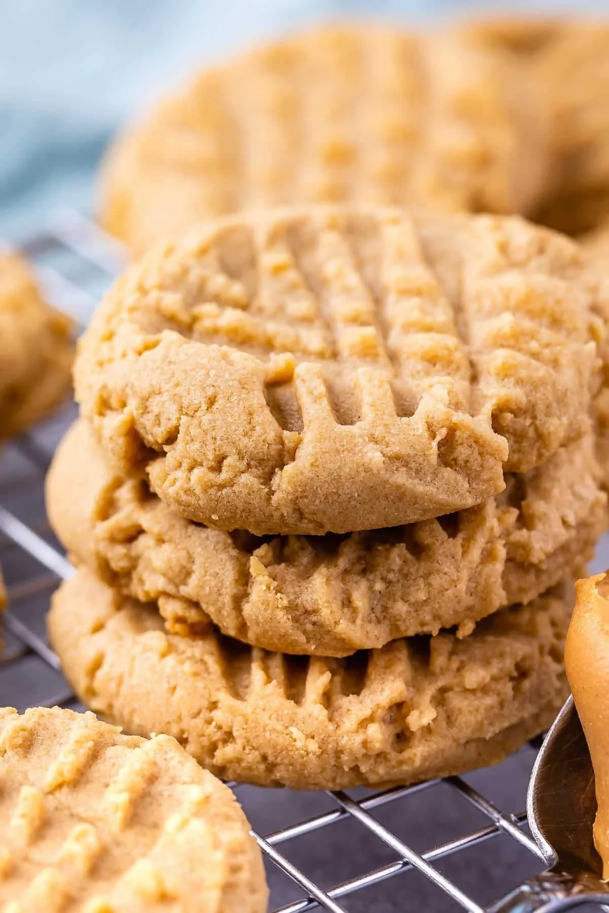 Homemade Peanut Butter Cookies 1 Dozen