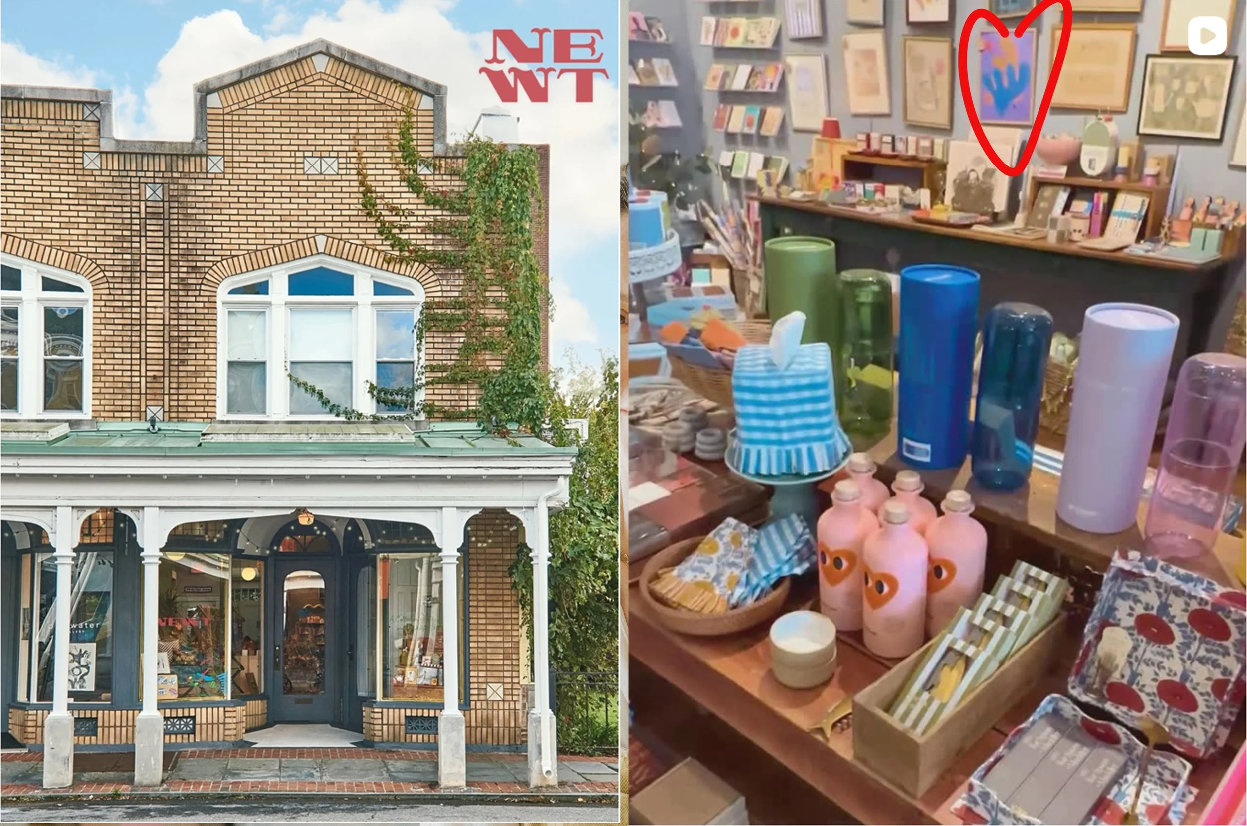 Favorite shop: Newt