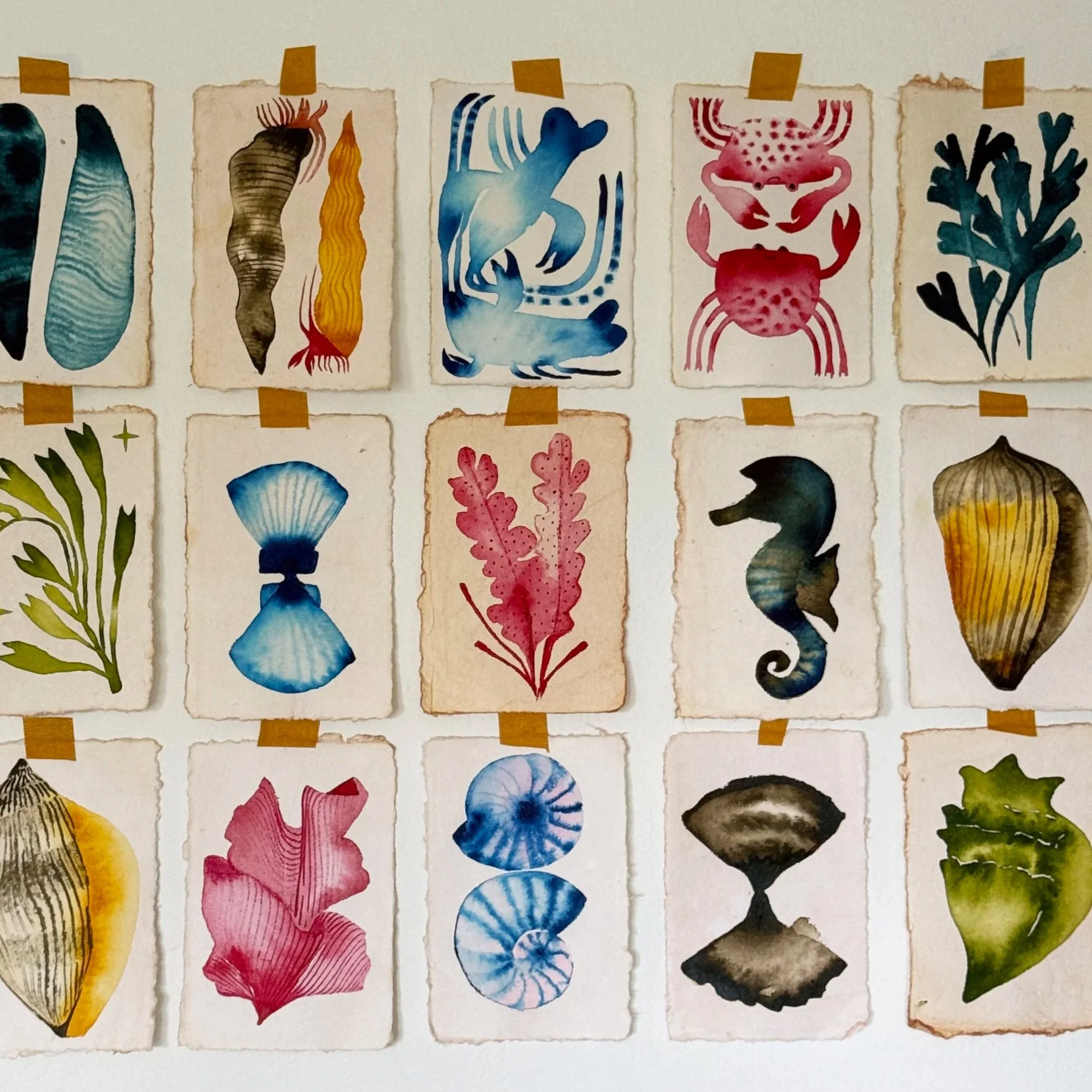 small works by cris villa of watercolors of sea creatures