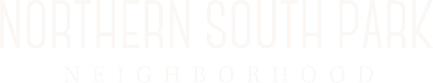 NORTHERN SOUTH PARK NEIGHBORHOOD